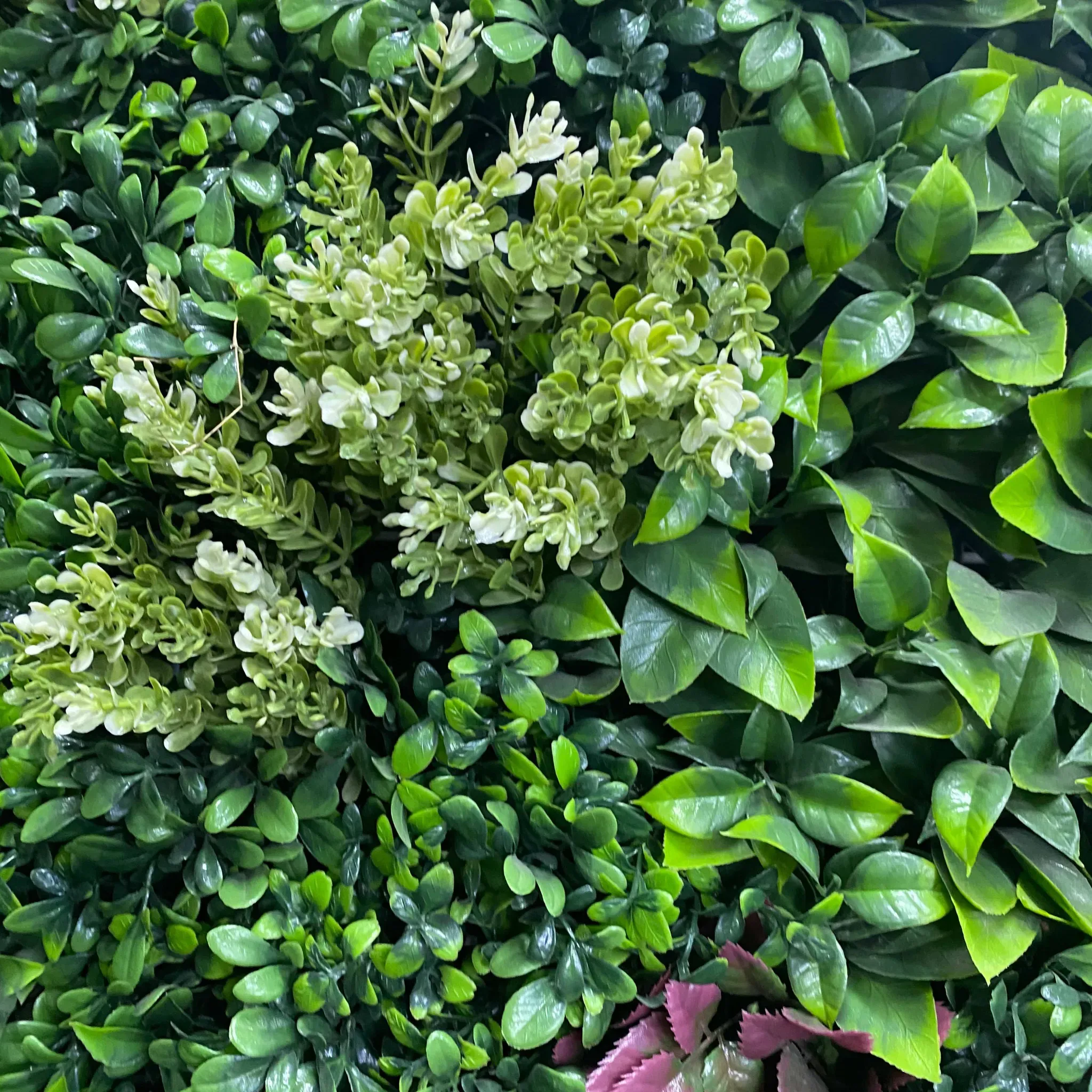 Evergreen Triptych Vertical Garden / Living Wall Set 3 Pieces (33SQFT Set) UV Resistant - Image 14