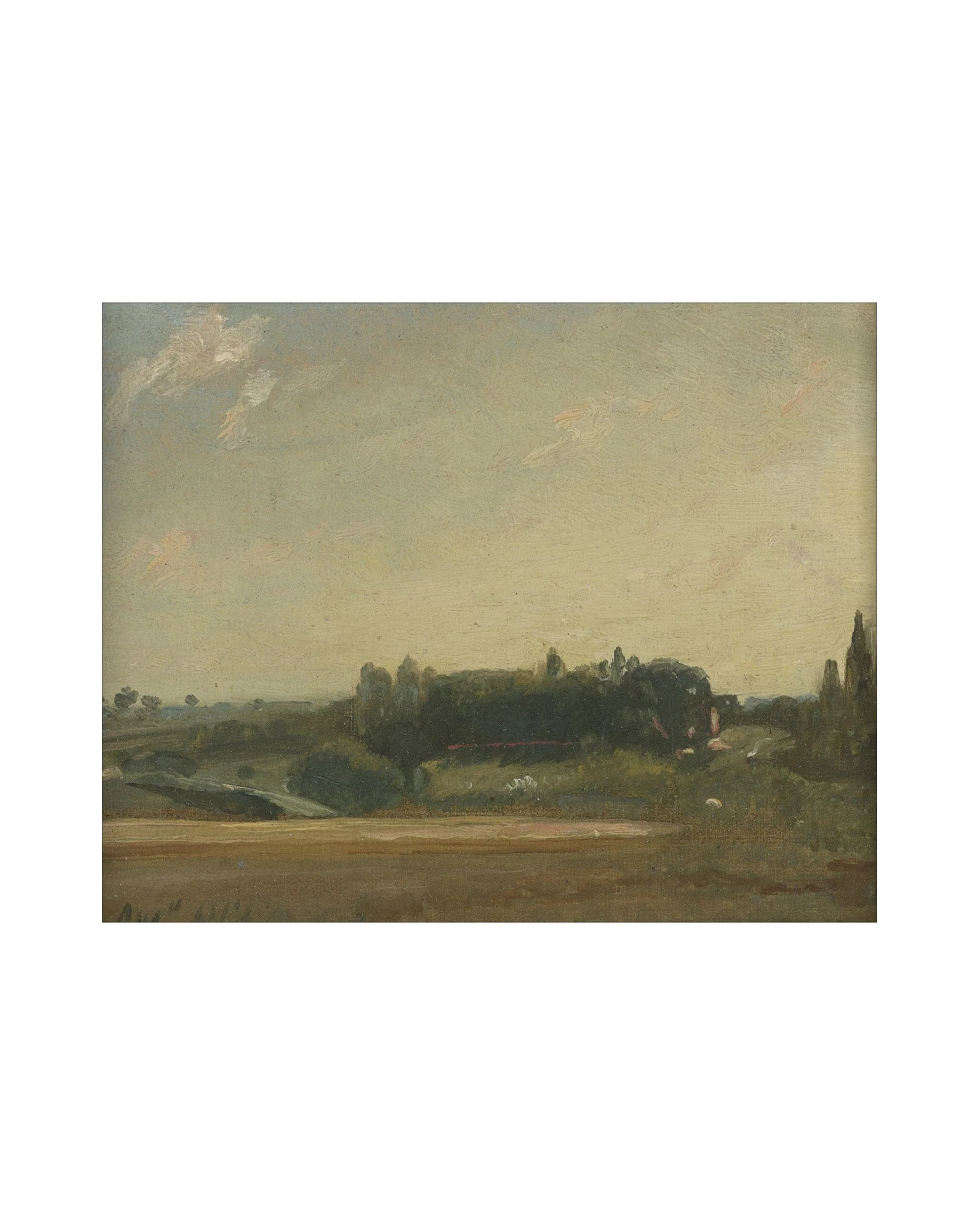Fields III - Image 2
