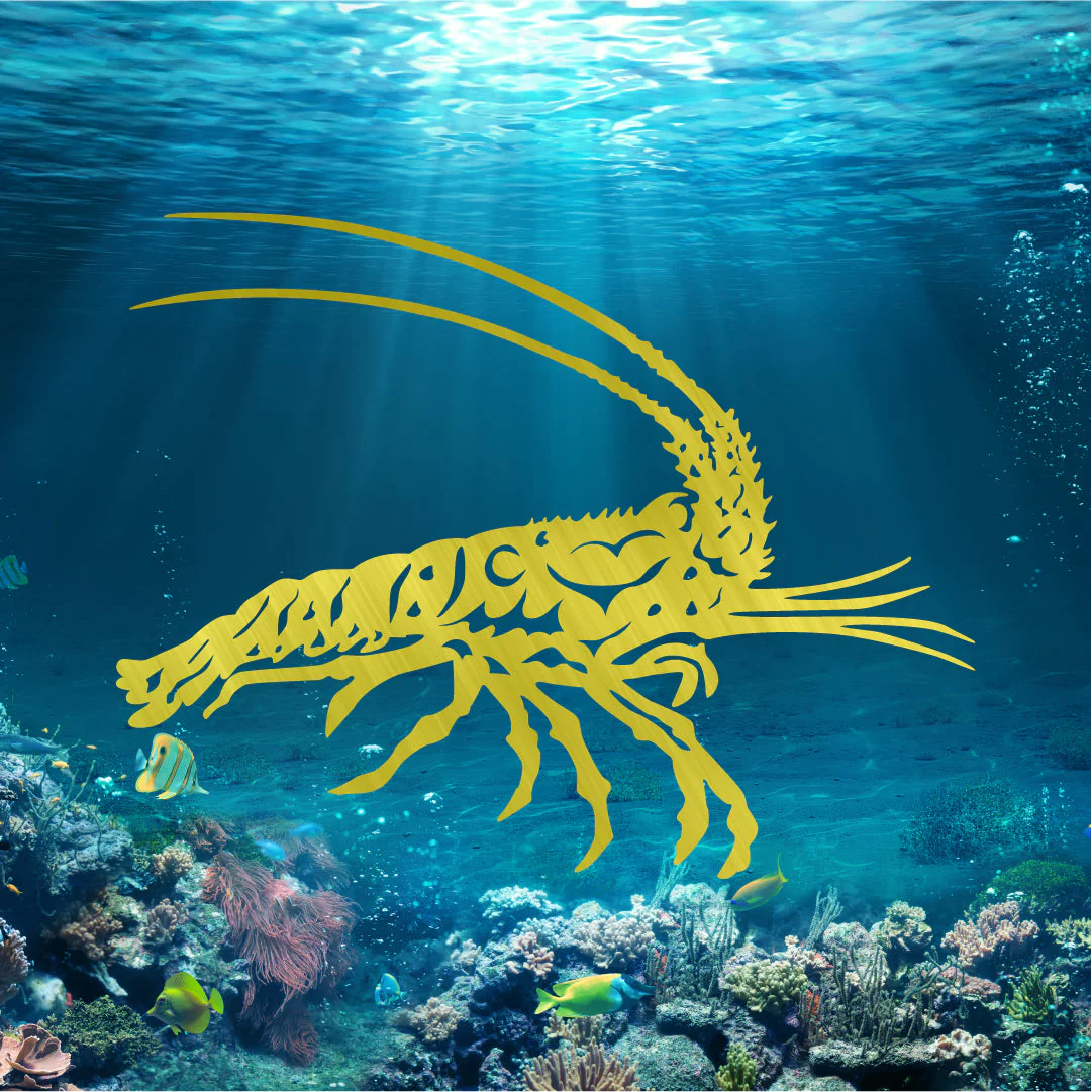Florida Lobster - Image 2