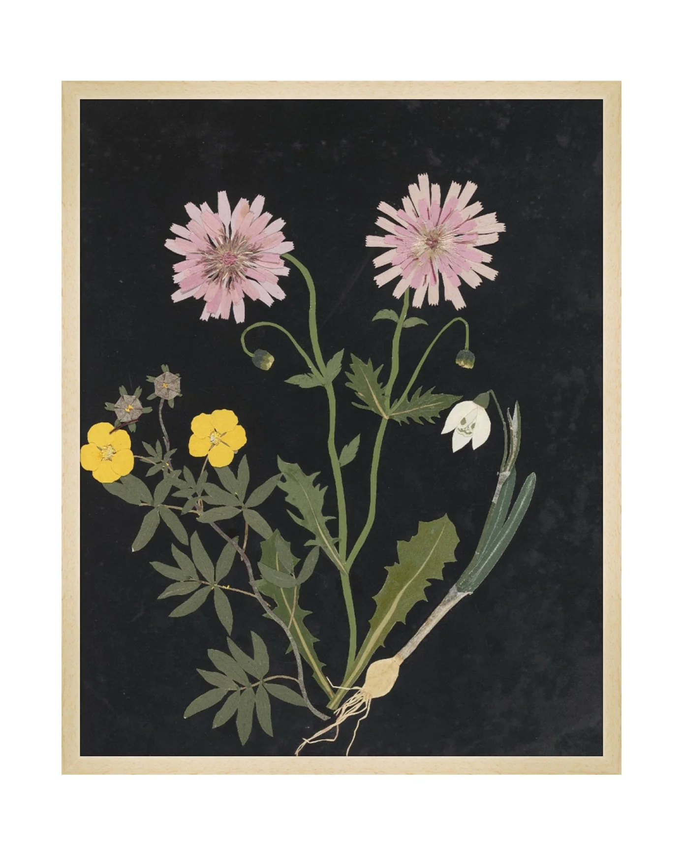 Flower Study III