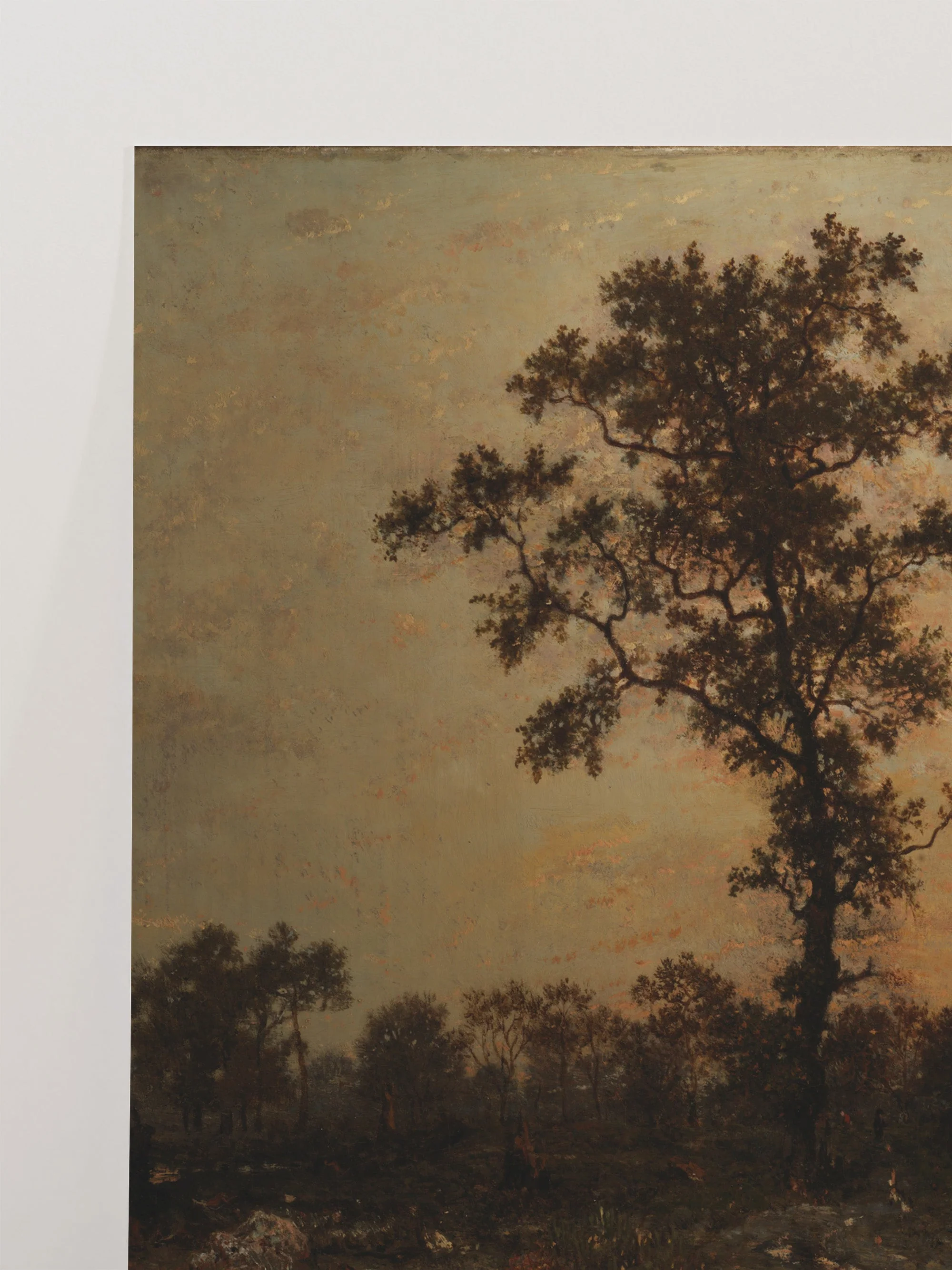 Forest At Dawn - Image 3