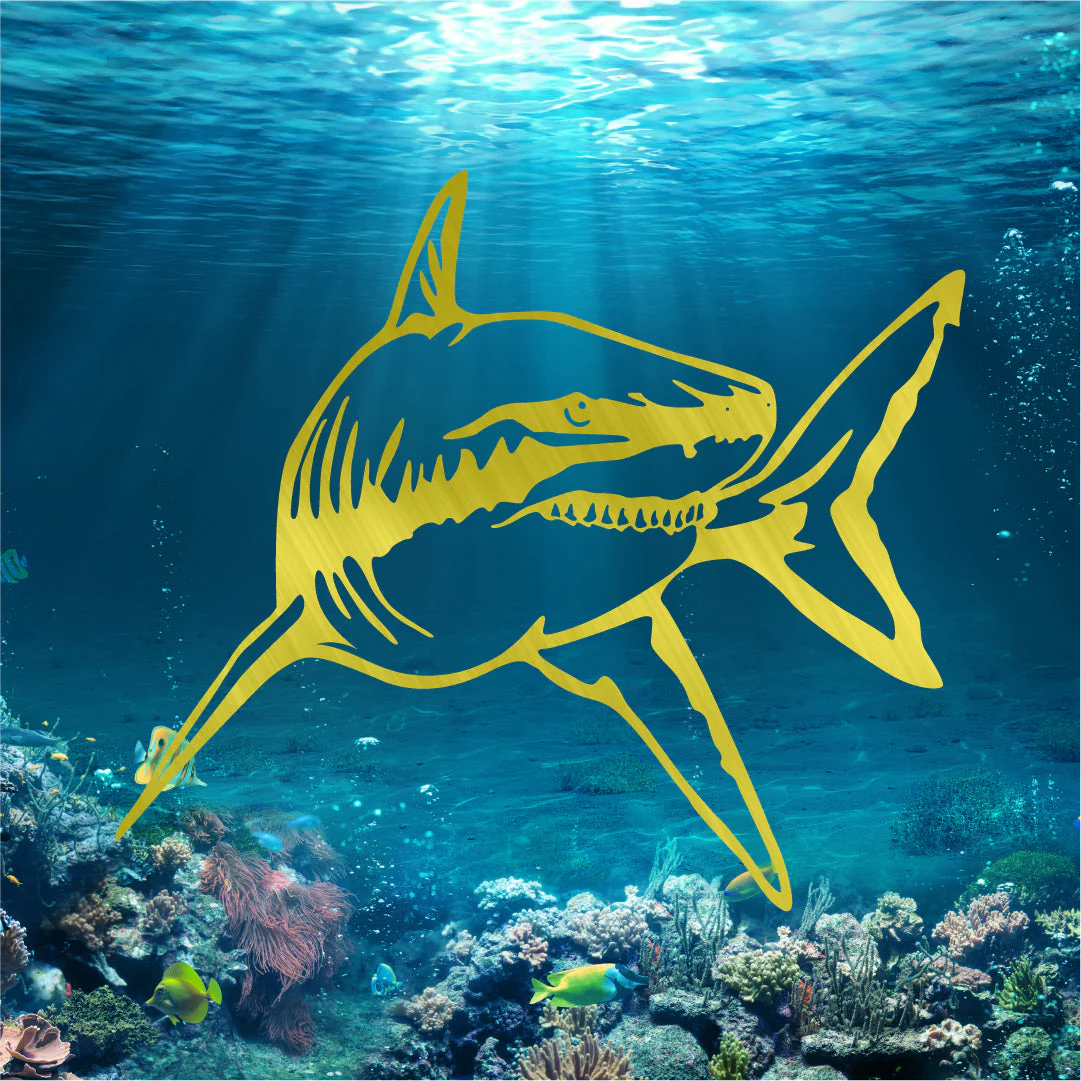 Great White Shark - Image 2