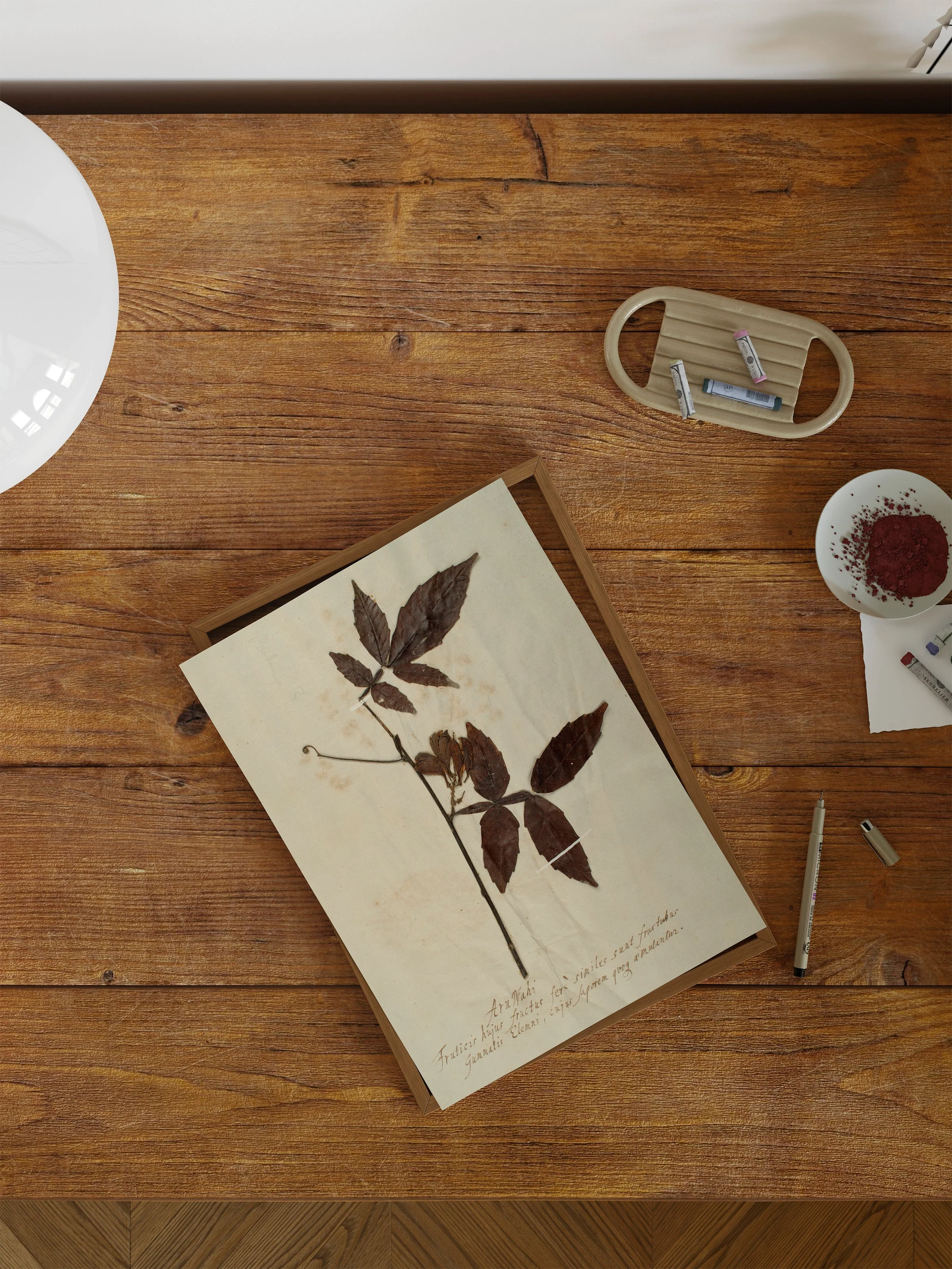 Herbarium I - Image 3
