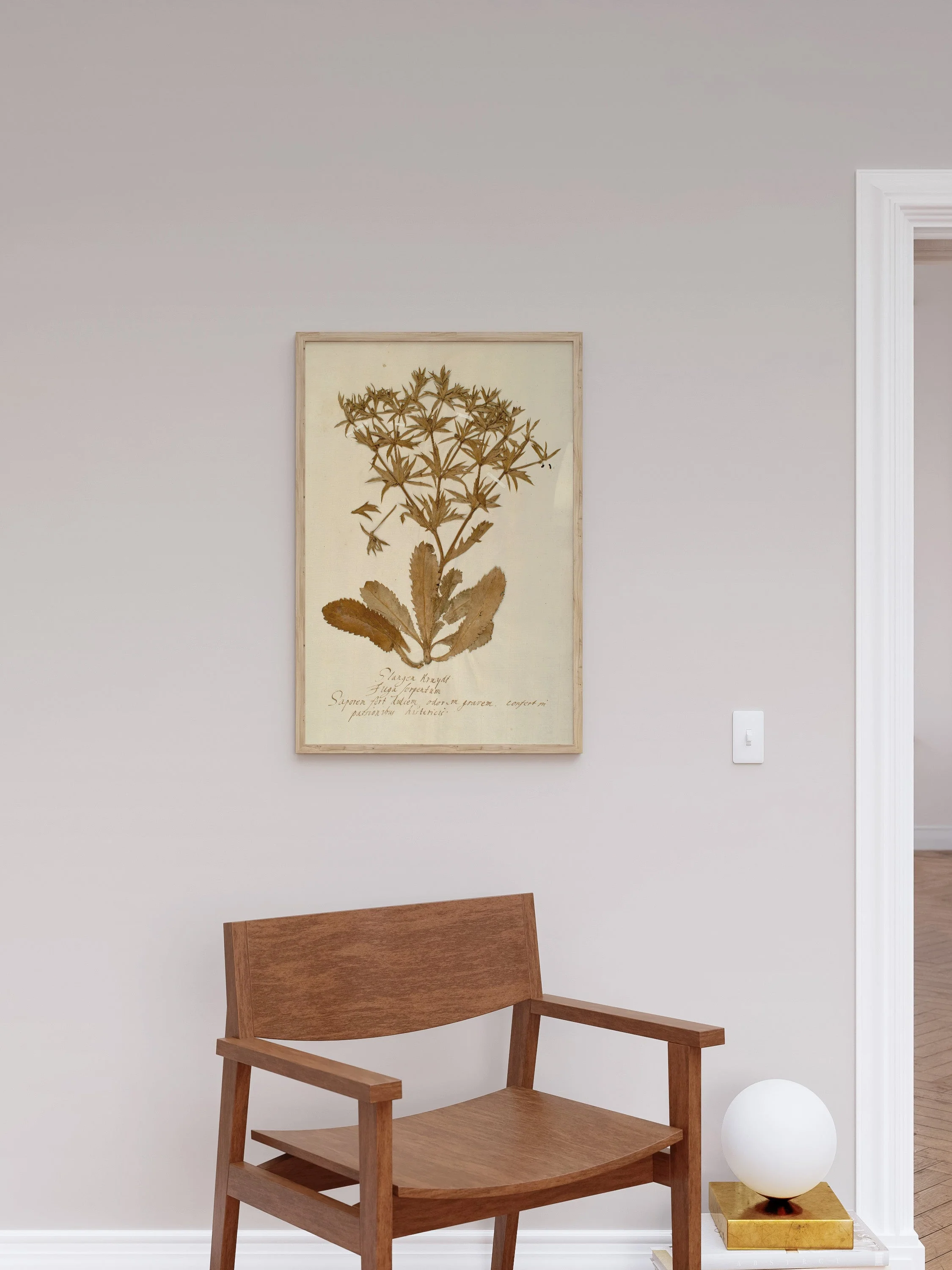 Herbarium II - Image 4
