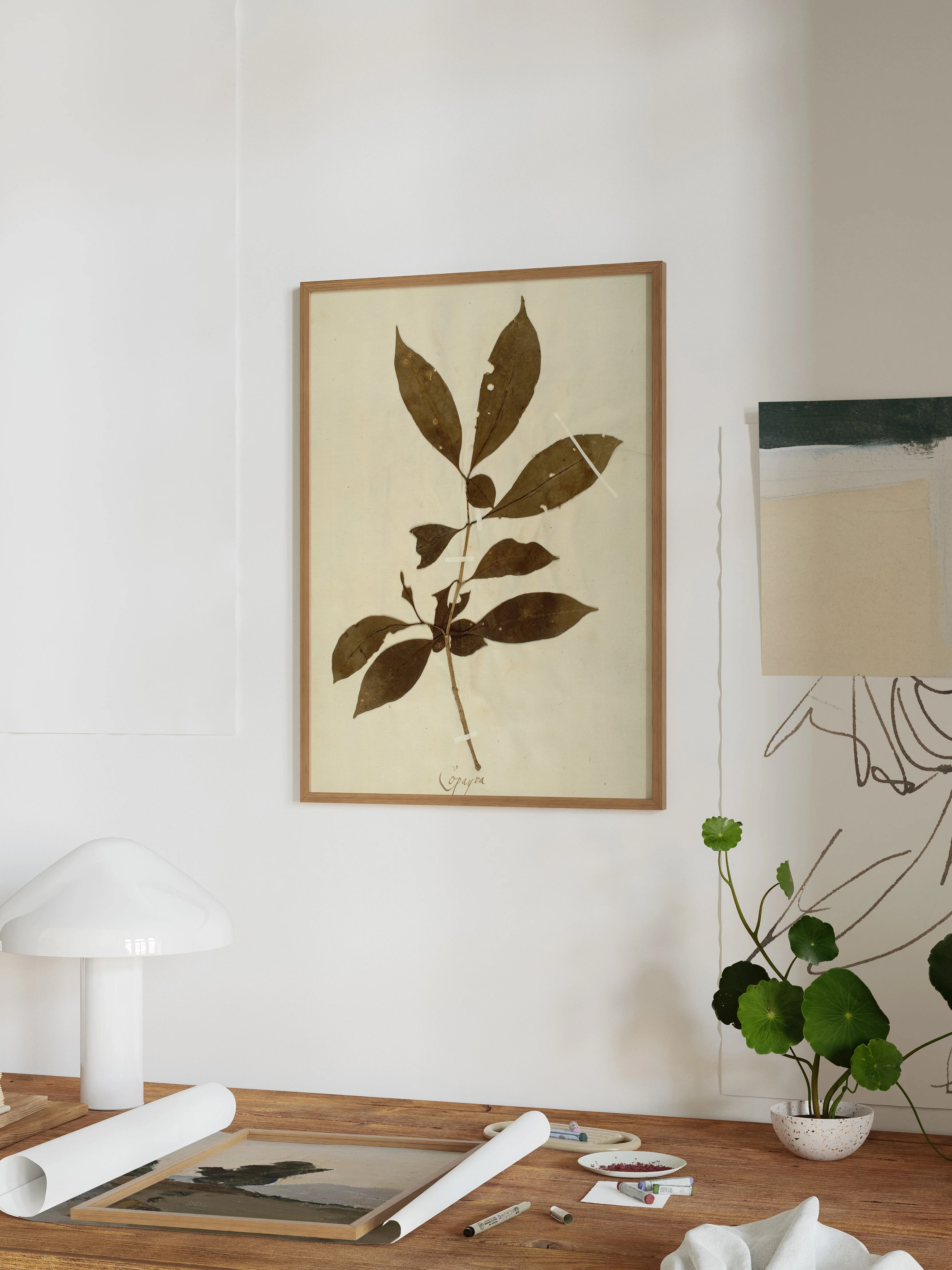 Herbarium III - Image 3