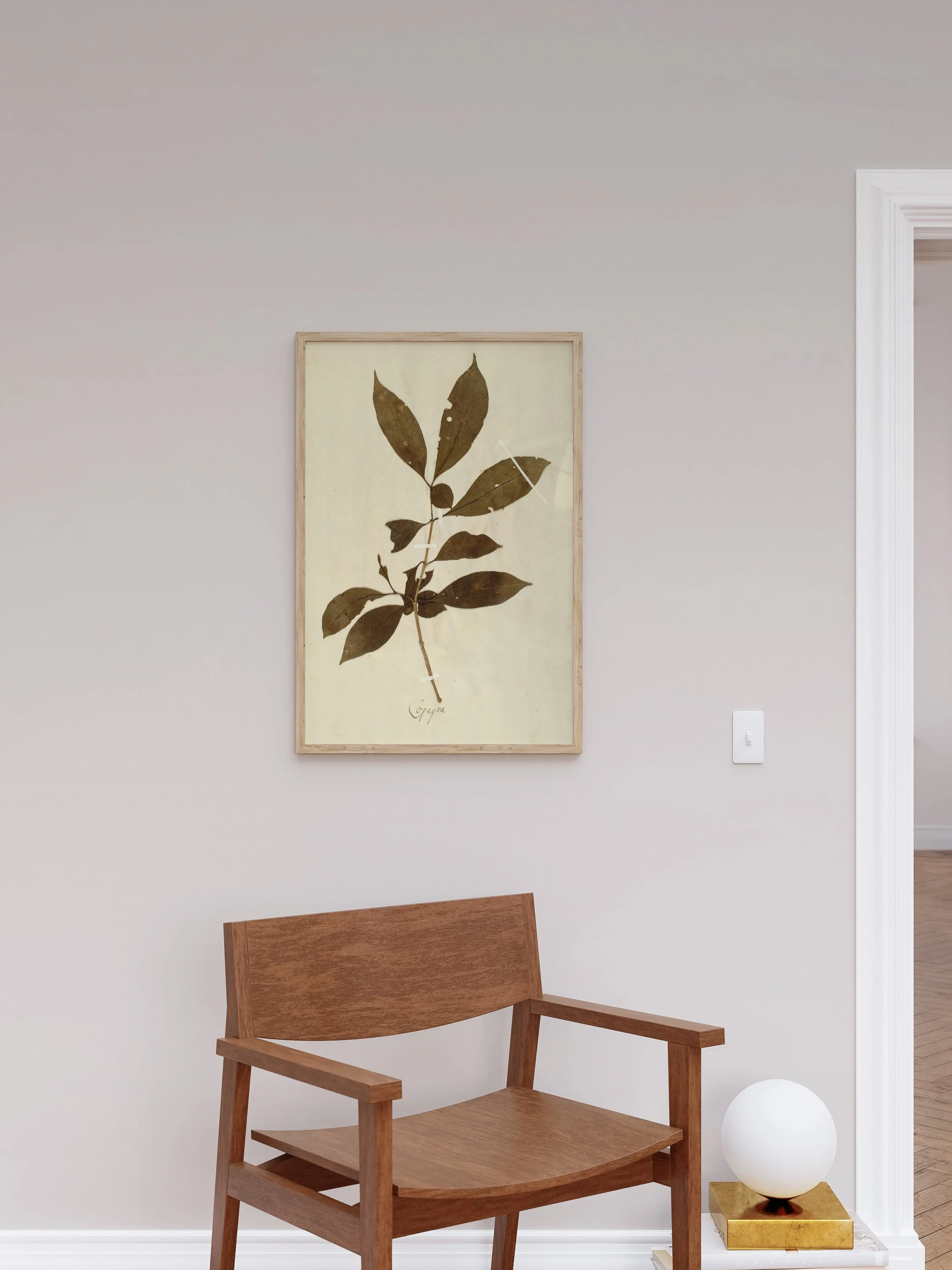 Herbarium III - Image 5