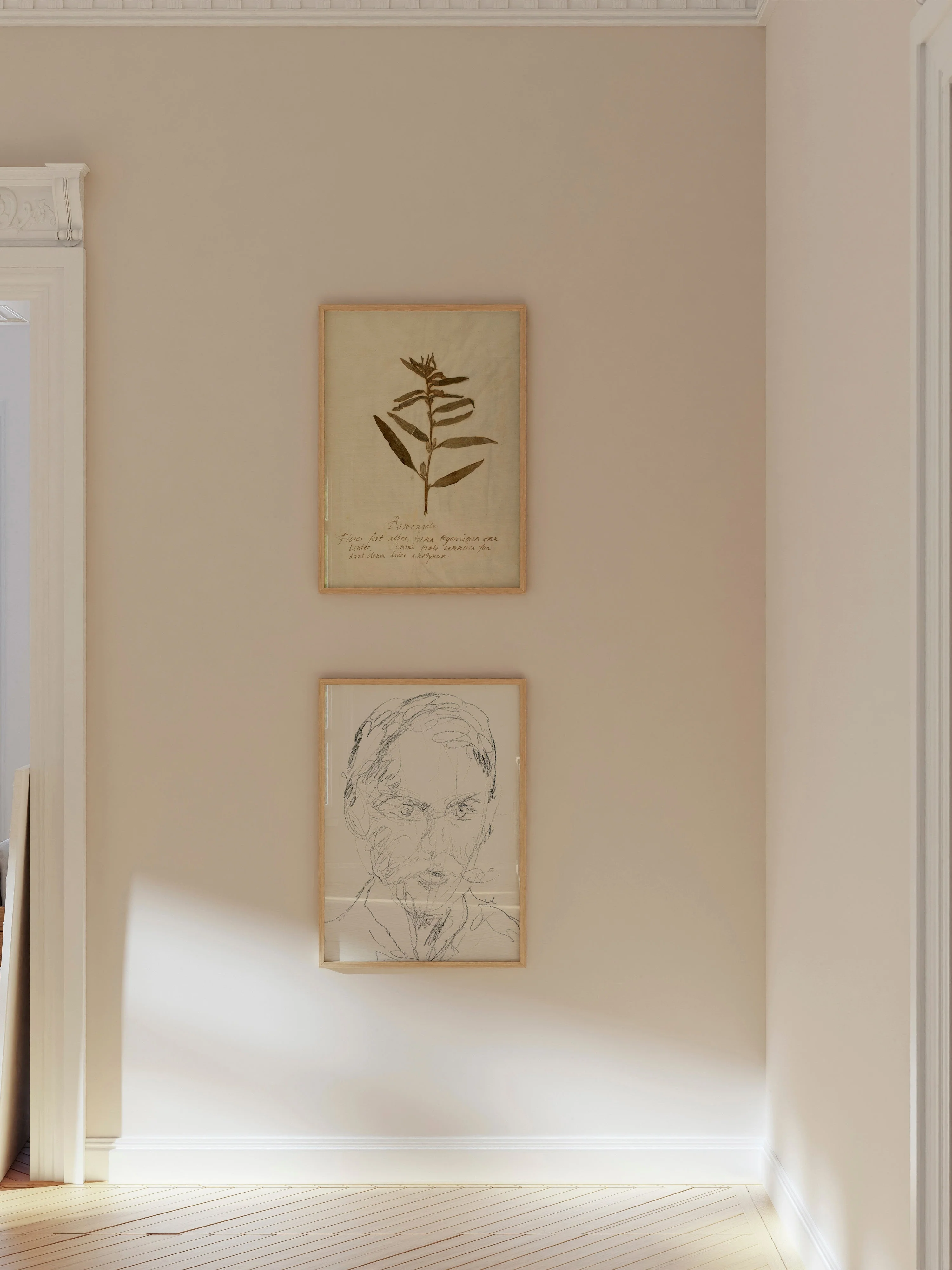 Herbarium VIII - Image 7