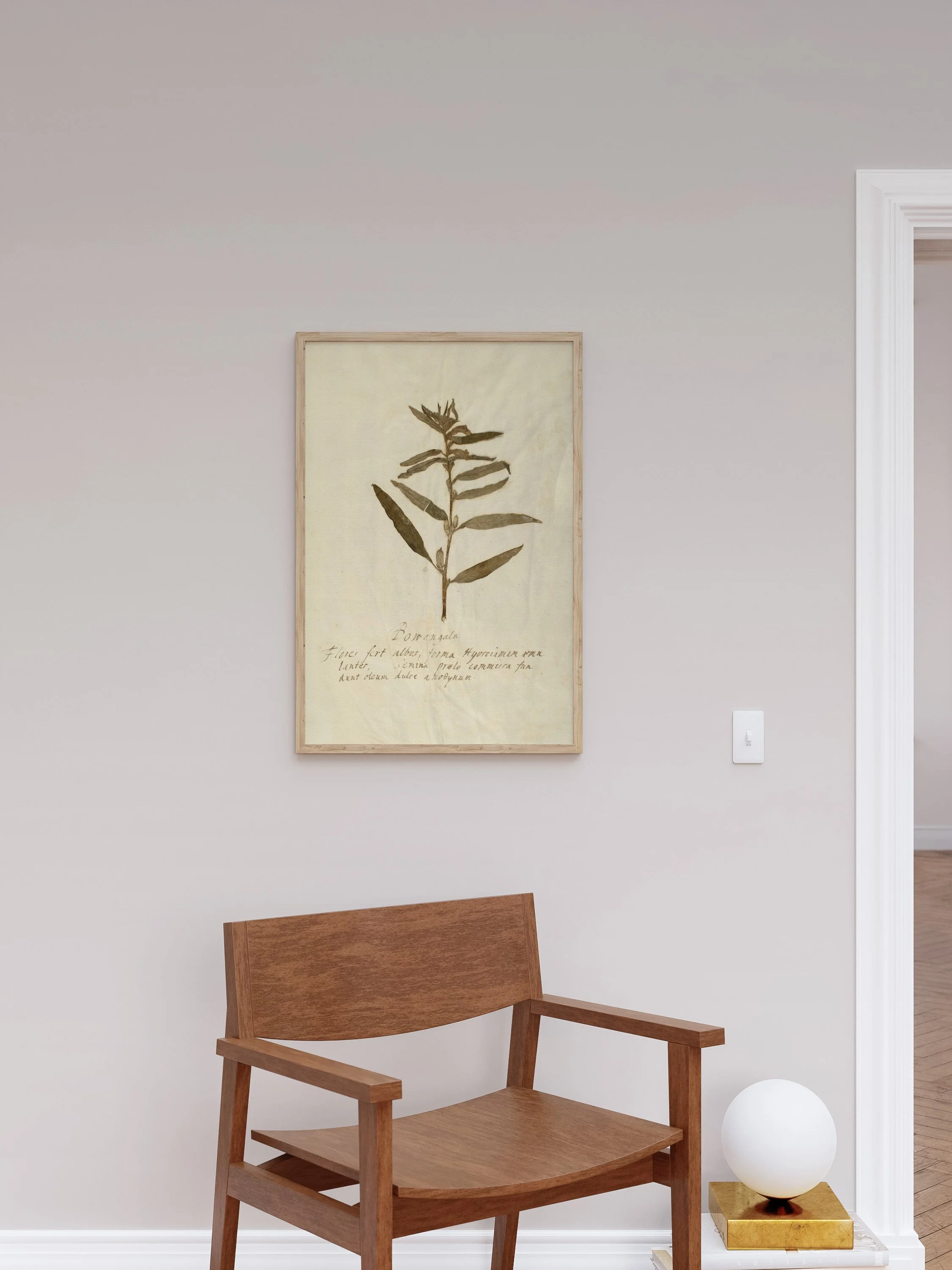 Herbarium VIII - Image 8