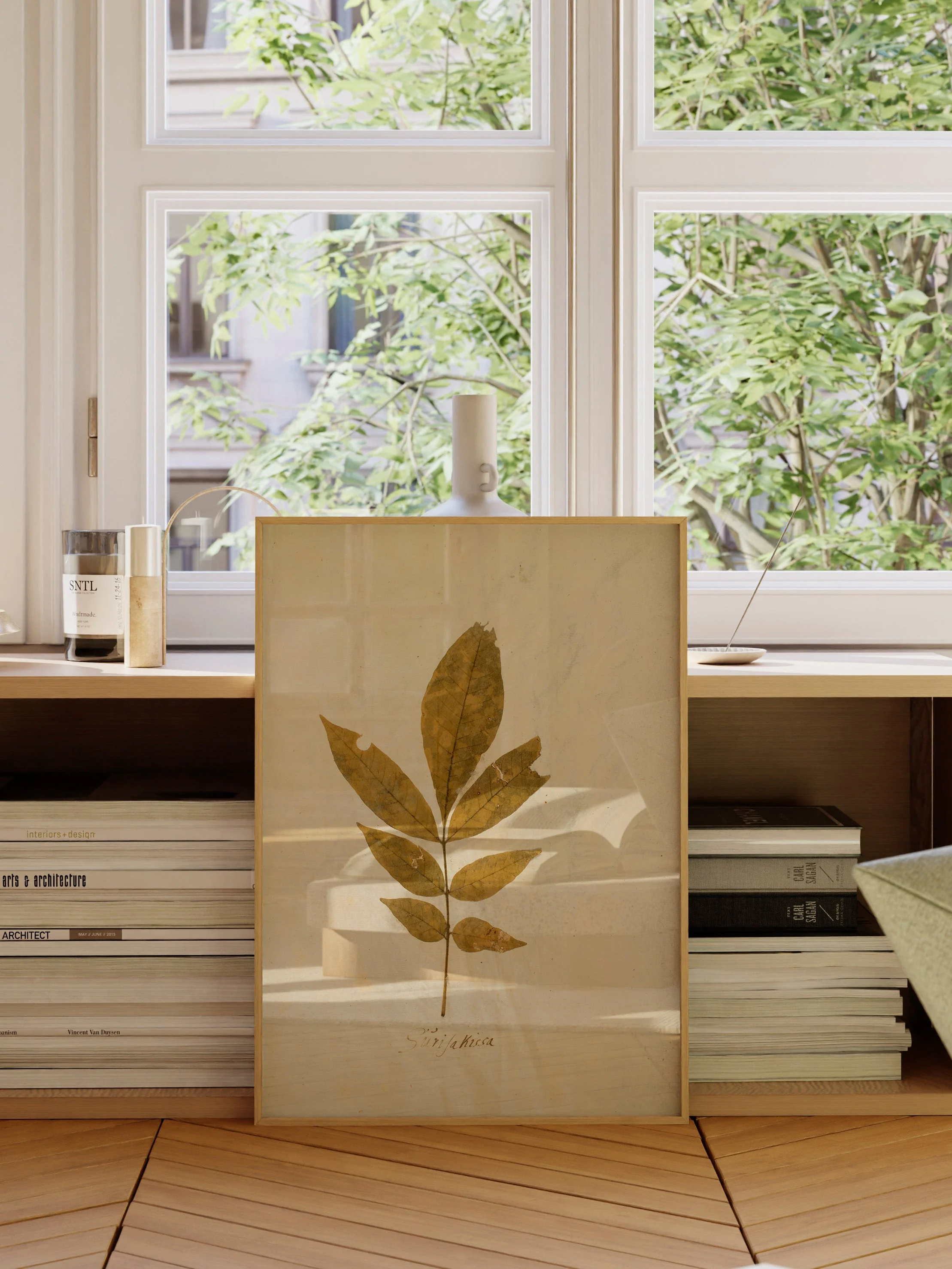 Herbarium XI - Image 11