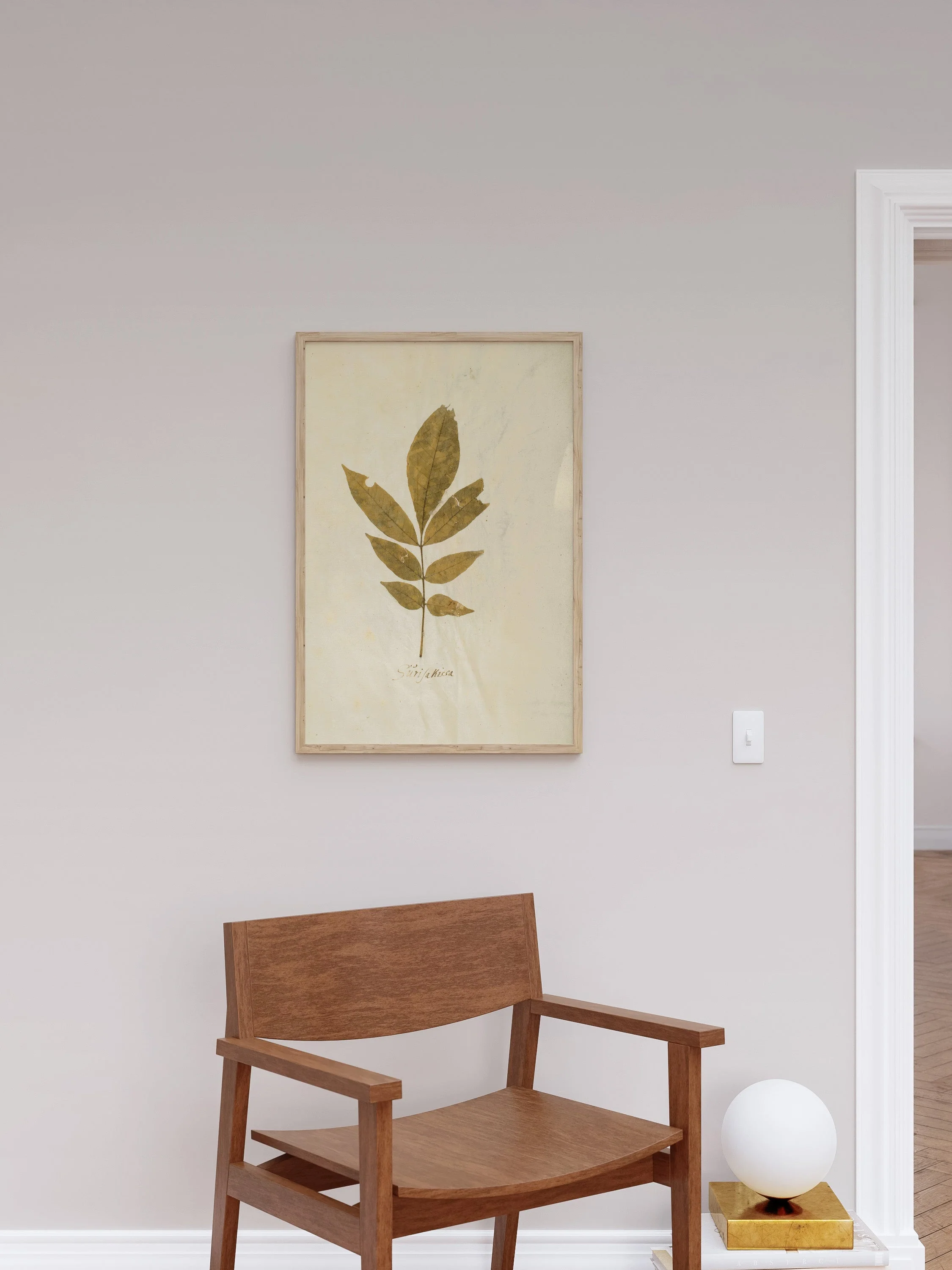 Herbarium XI - Image 8