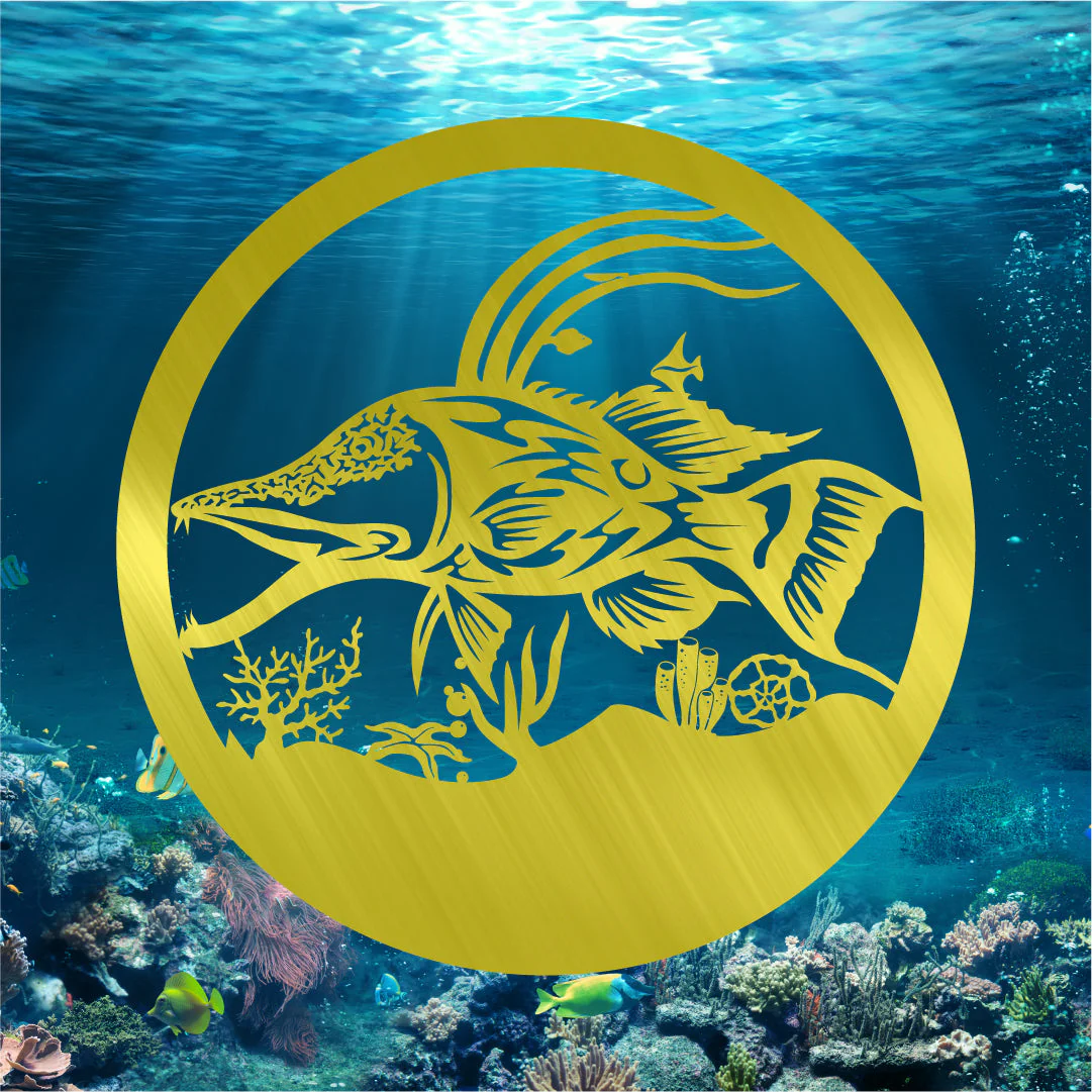 Hogfish Scene - Image 2