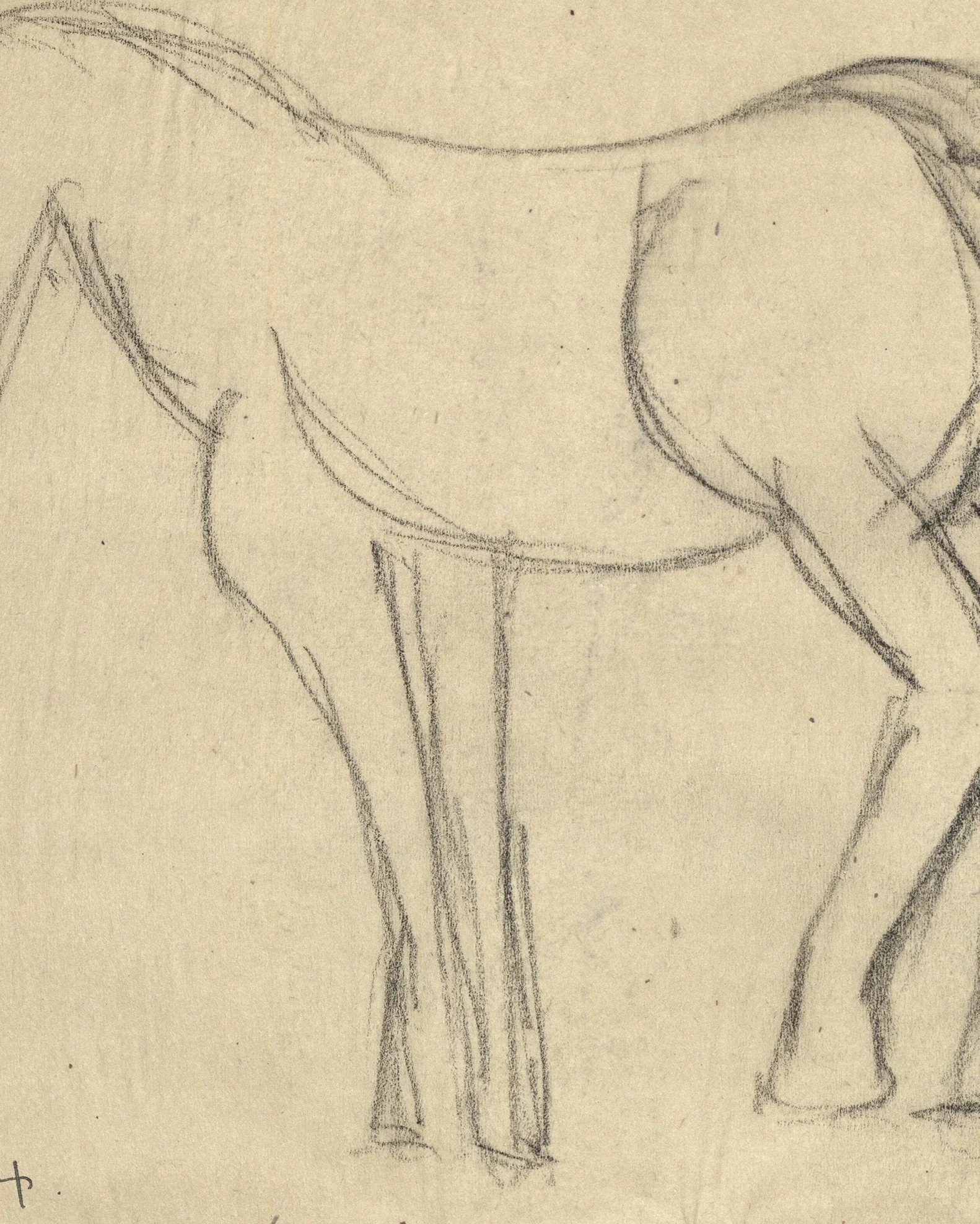 Horse Sketch - Image 3