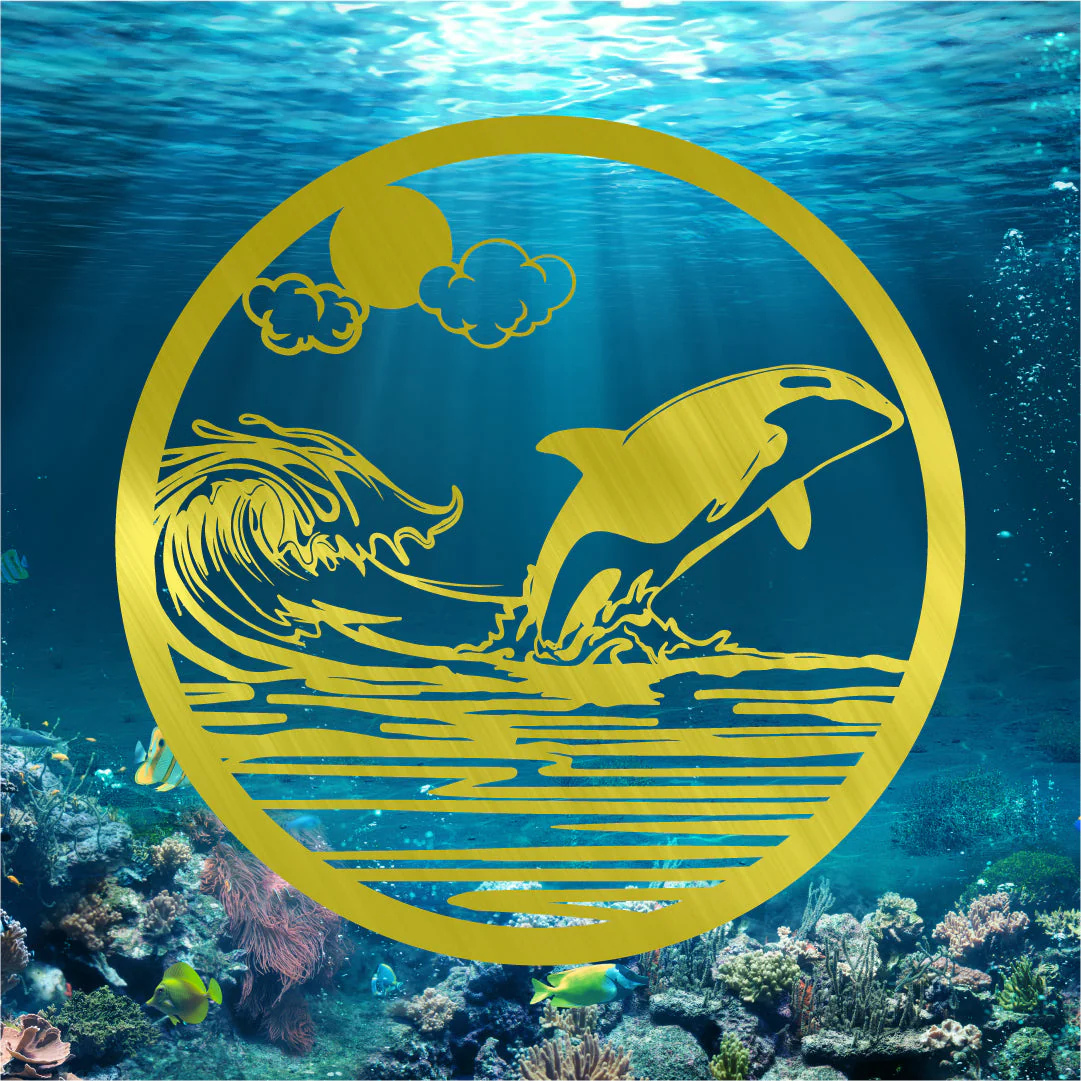 Killer Whale - Image 2