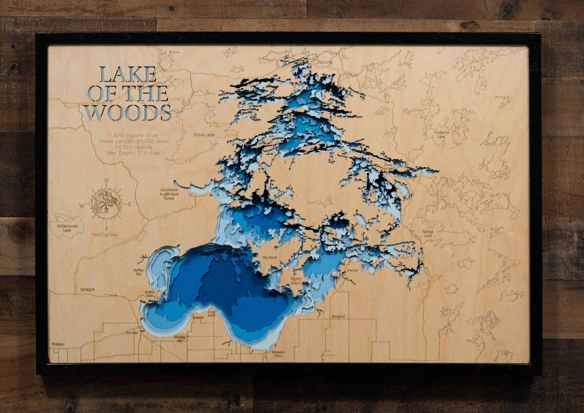 Lake Of The Woods