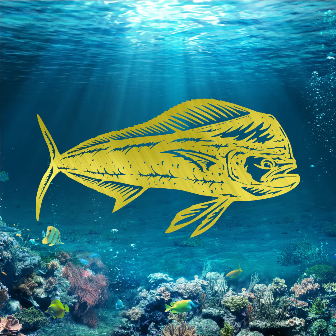 Mahi Mahi - Image 2