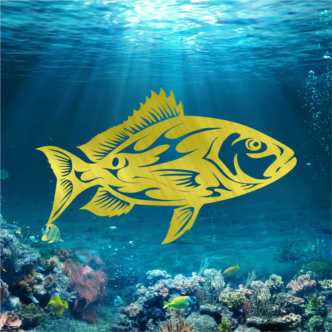 Mangrove Snapper - Image 2