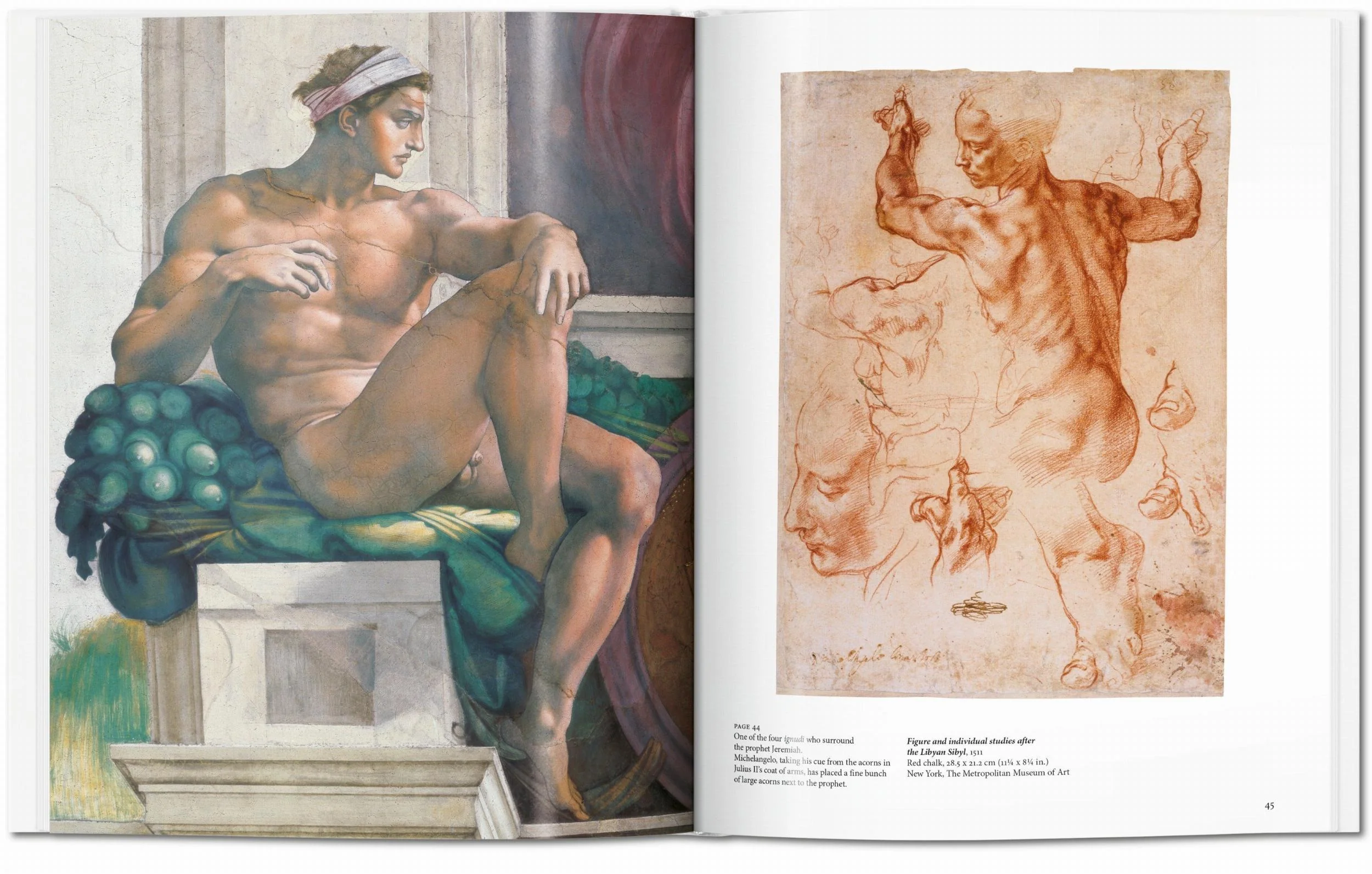 Michelangelo (English) - Image 6