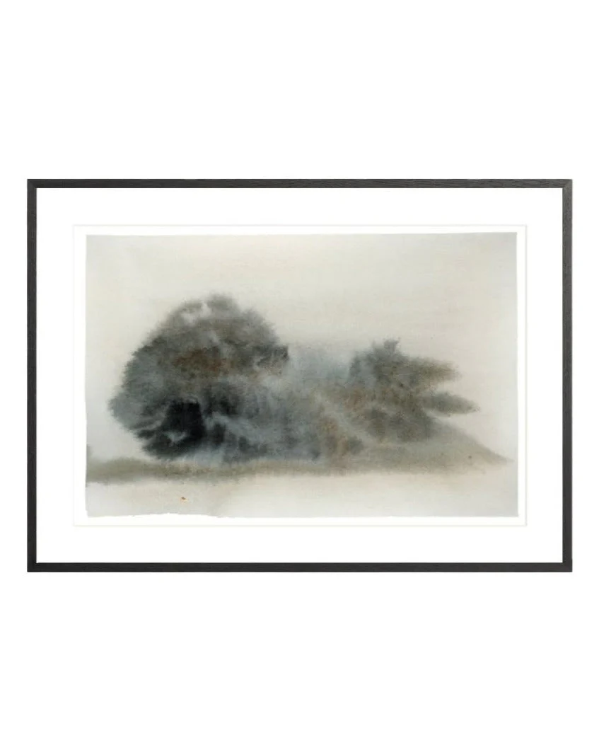 Misty Trees 2