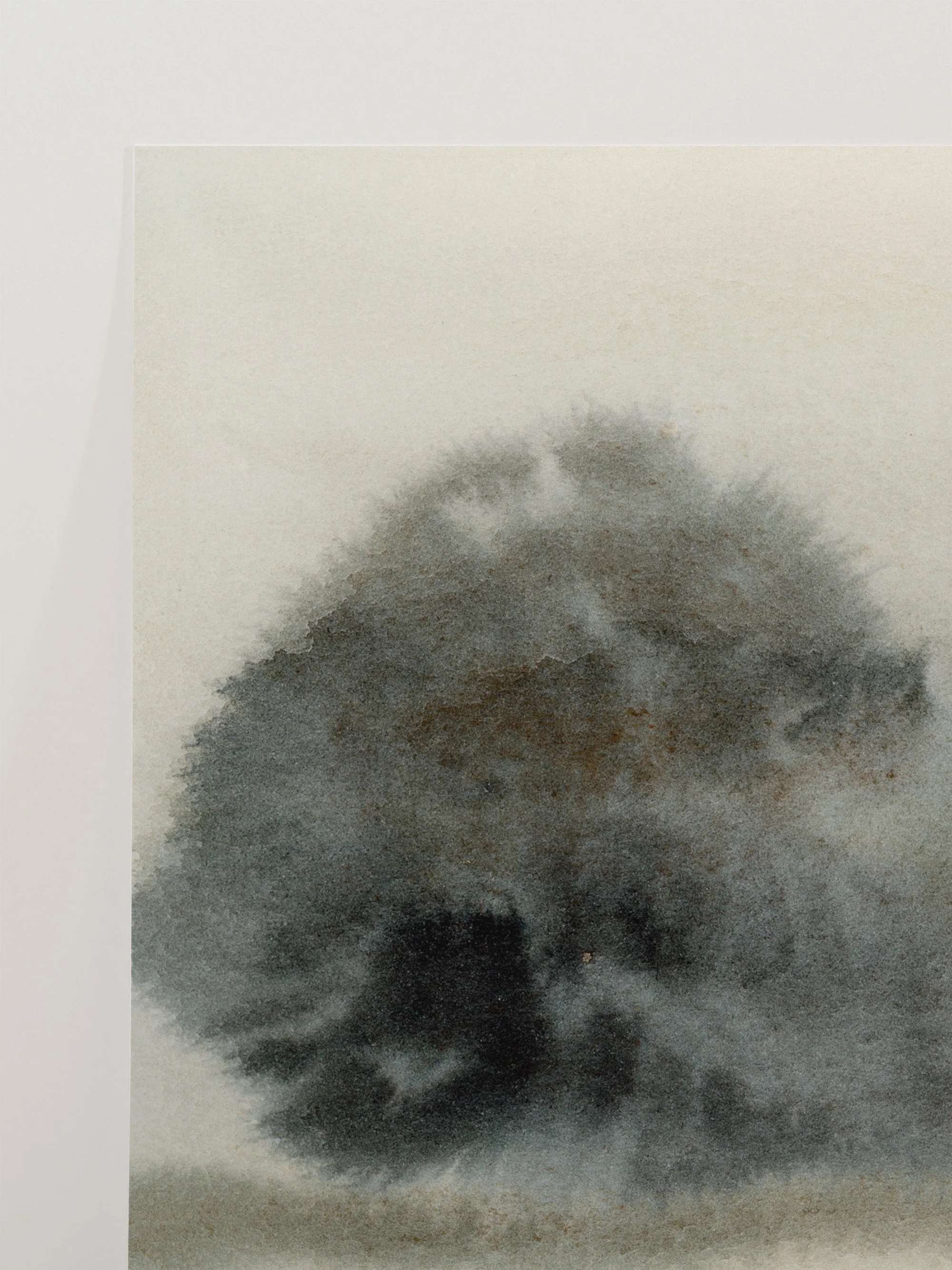 Misty Trees 2 - Image 10