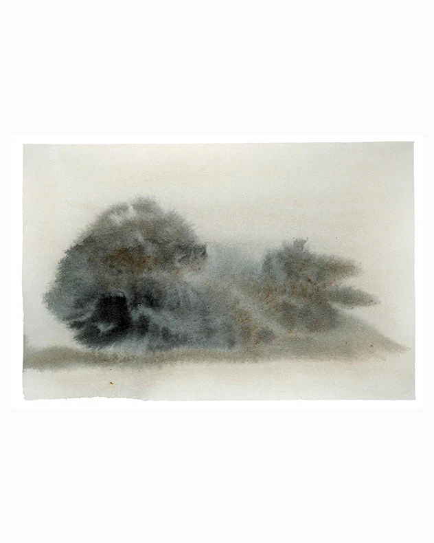 Misty Trees 2 - Image 2