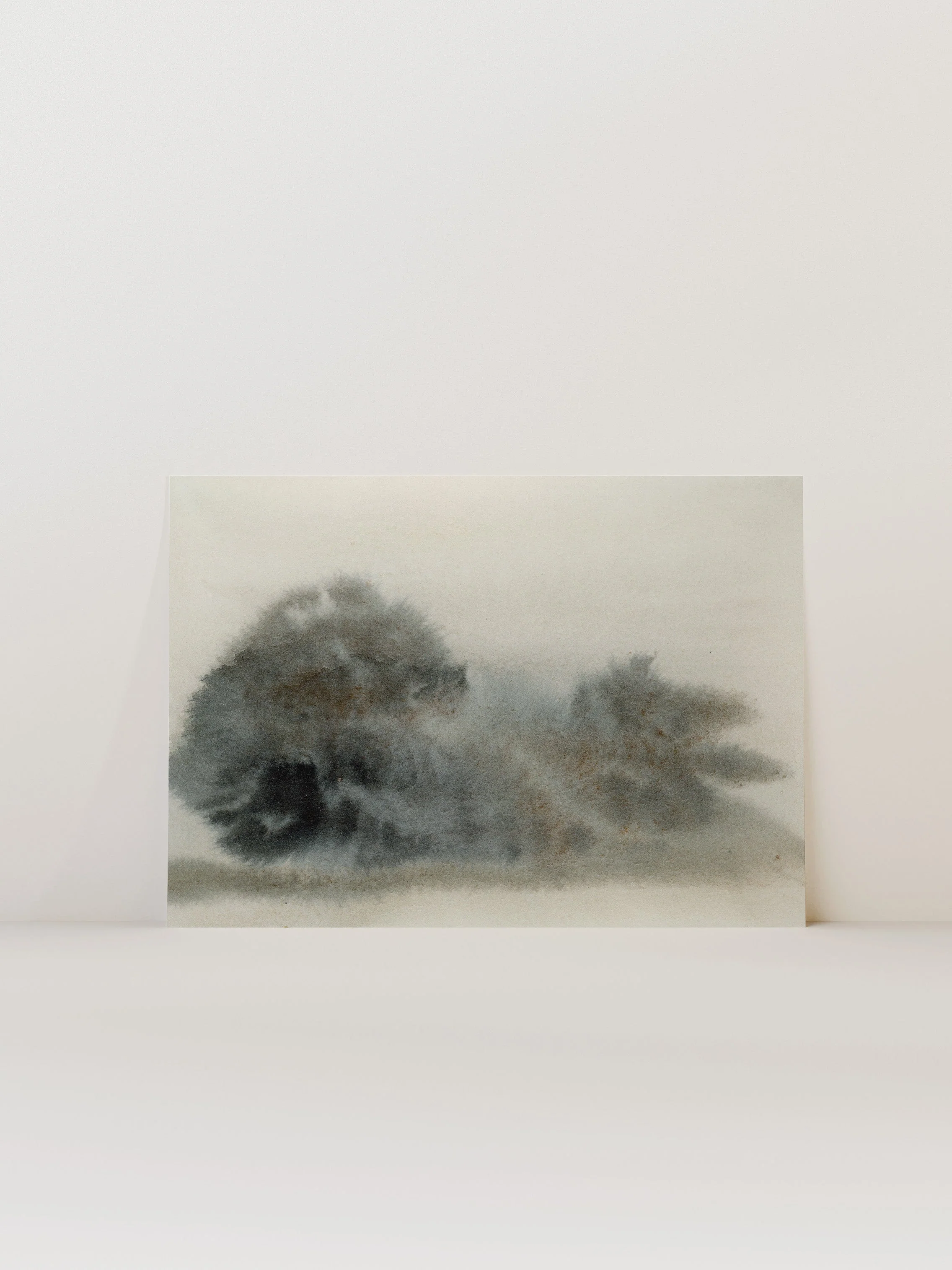 Misty Trees 2 - Image 9