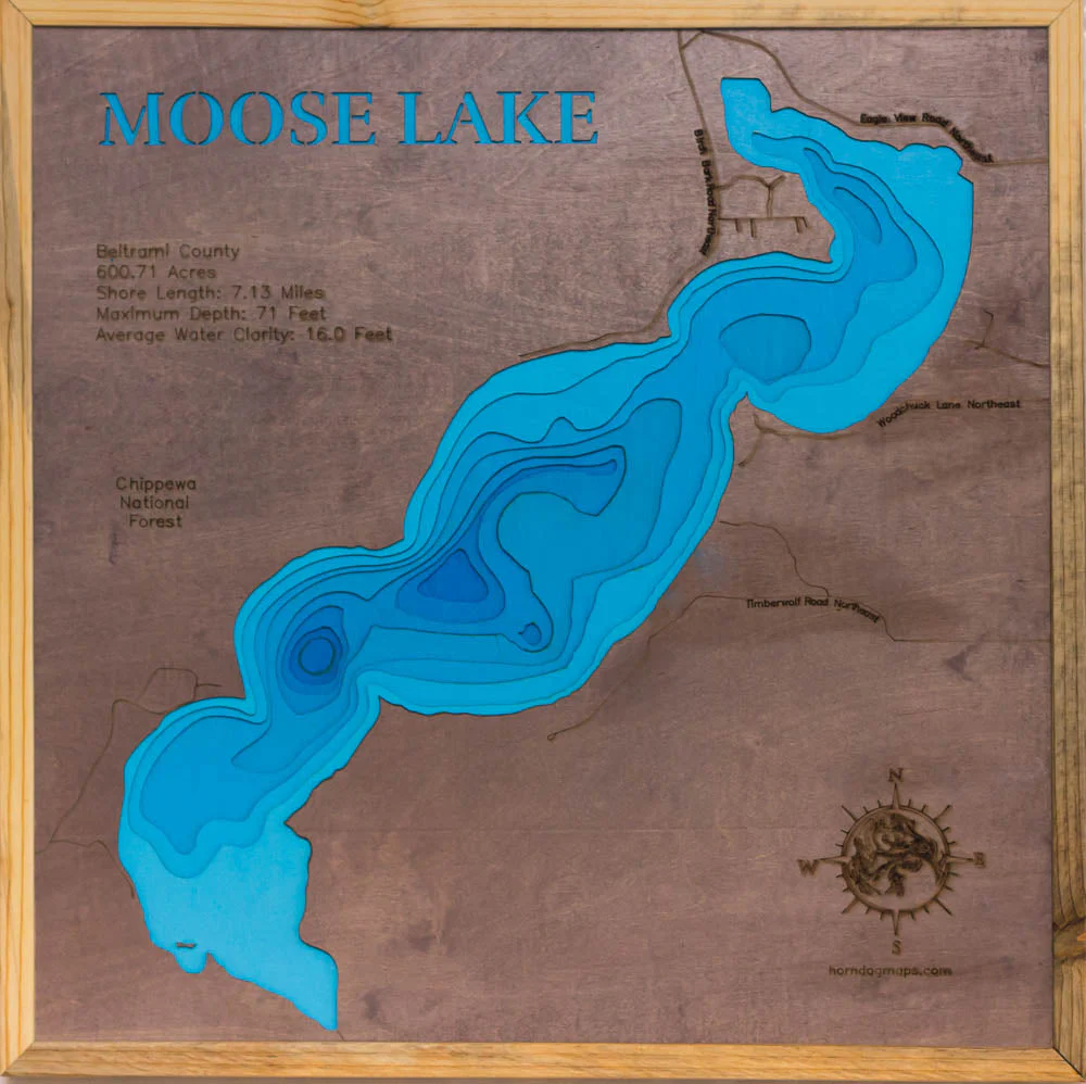 Moose (Beltrami)