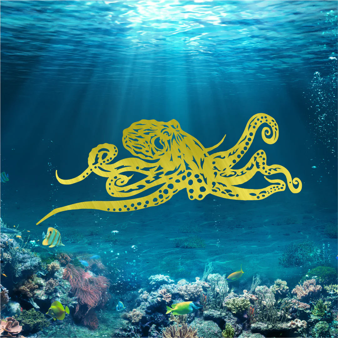 Octopus v1 - Image 2