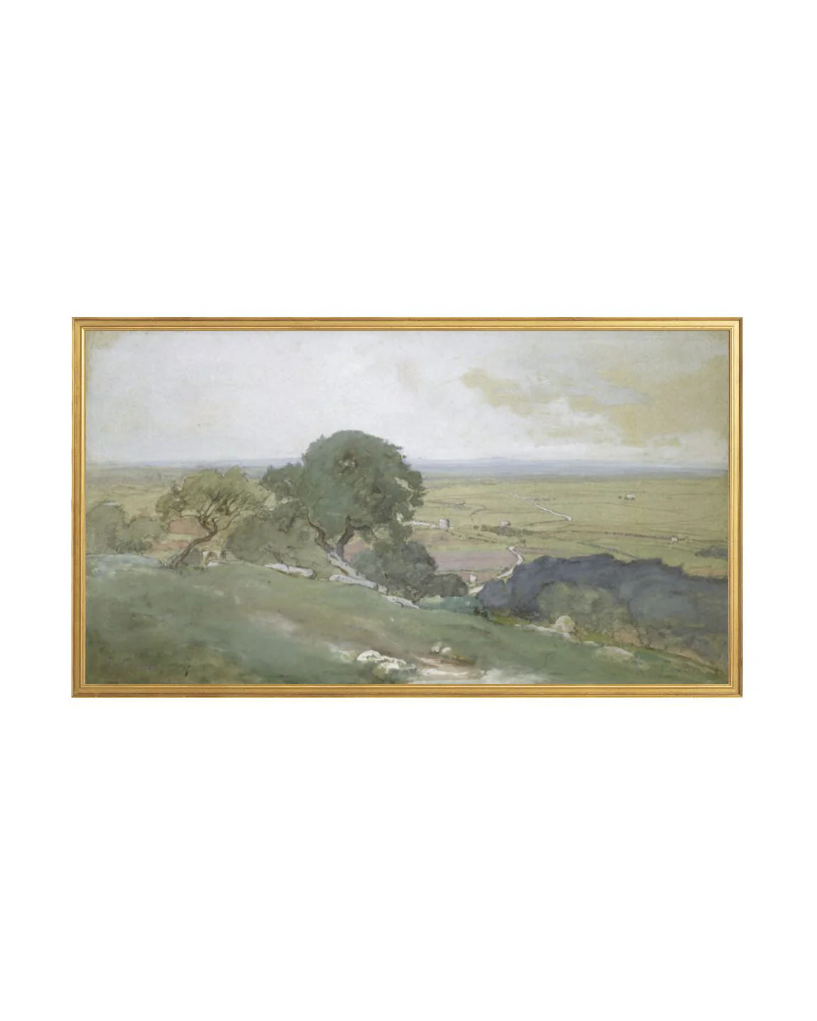 Olivos - Image 3