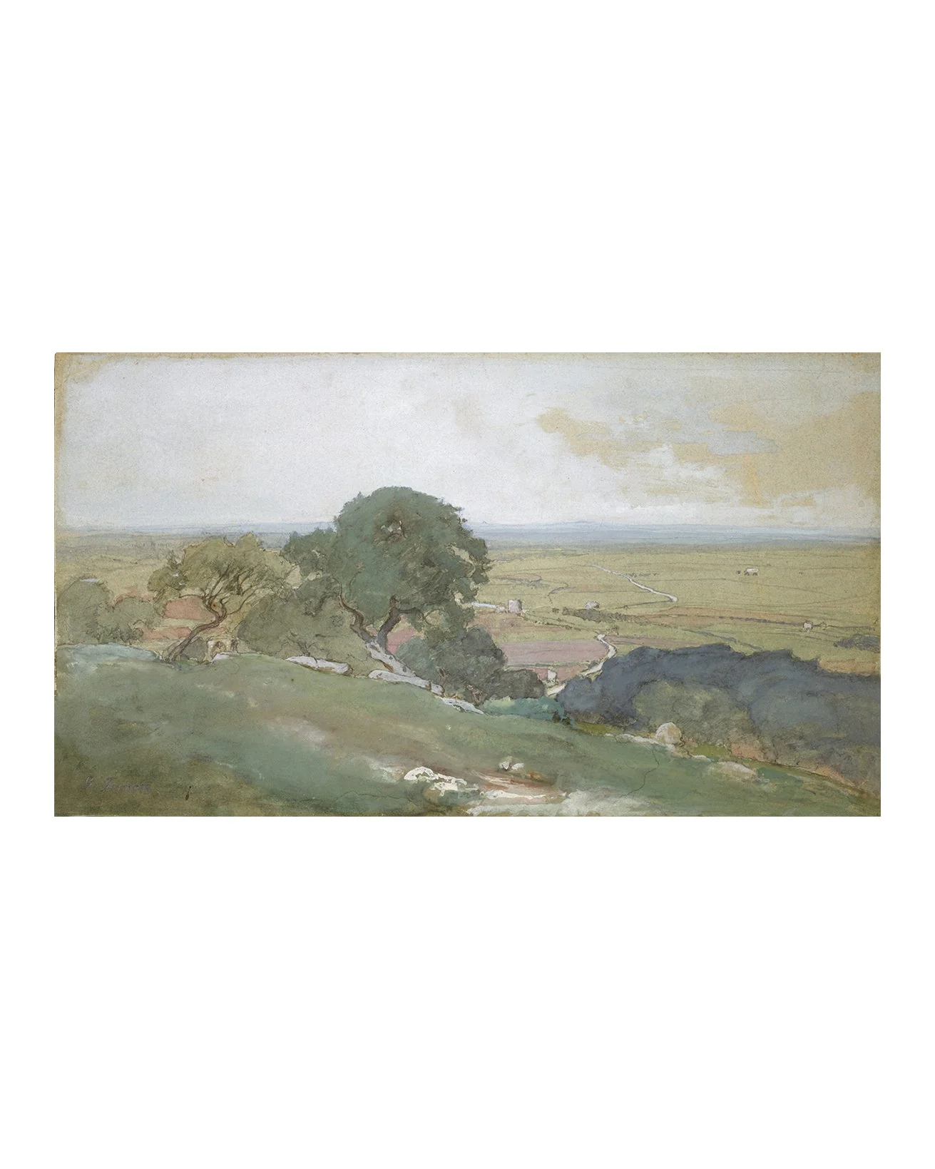 Olivos - Image 4