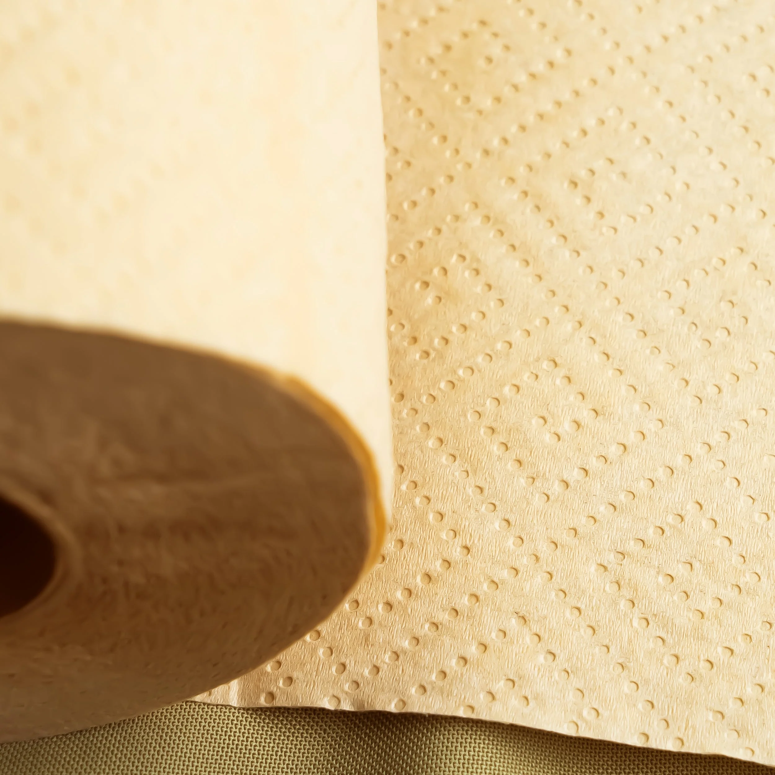 Panda Eco Paper | Bamboo Paper Towel Sample - Image 6