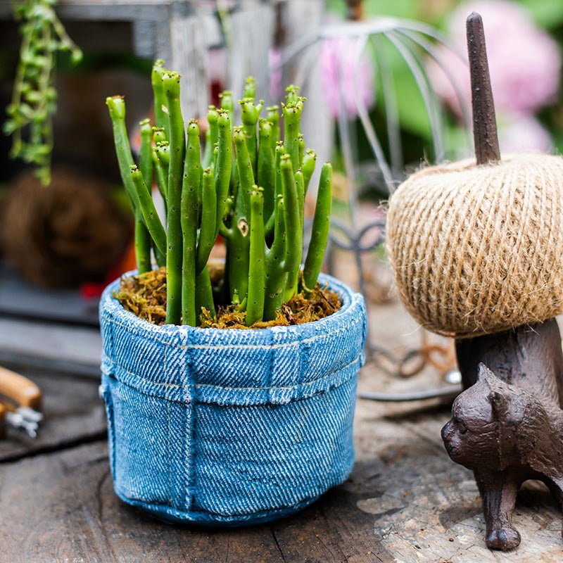 Pants for Plants Blue Jeans Cement Flower Pot - Image 3