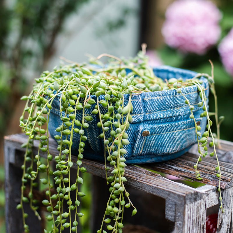 Pants for Plants Blue Jeans Cement Flower Pot - Image 4