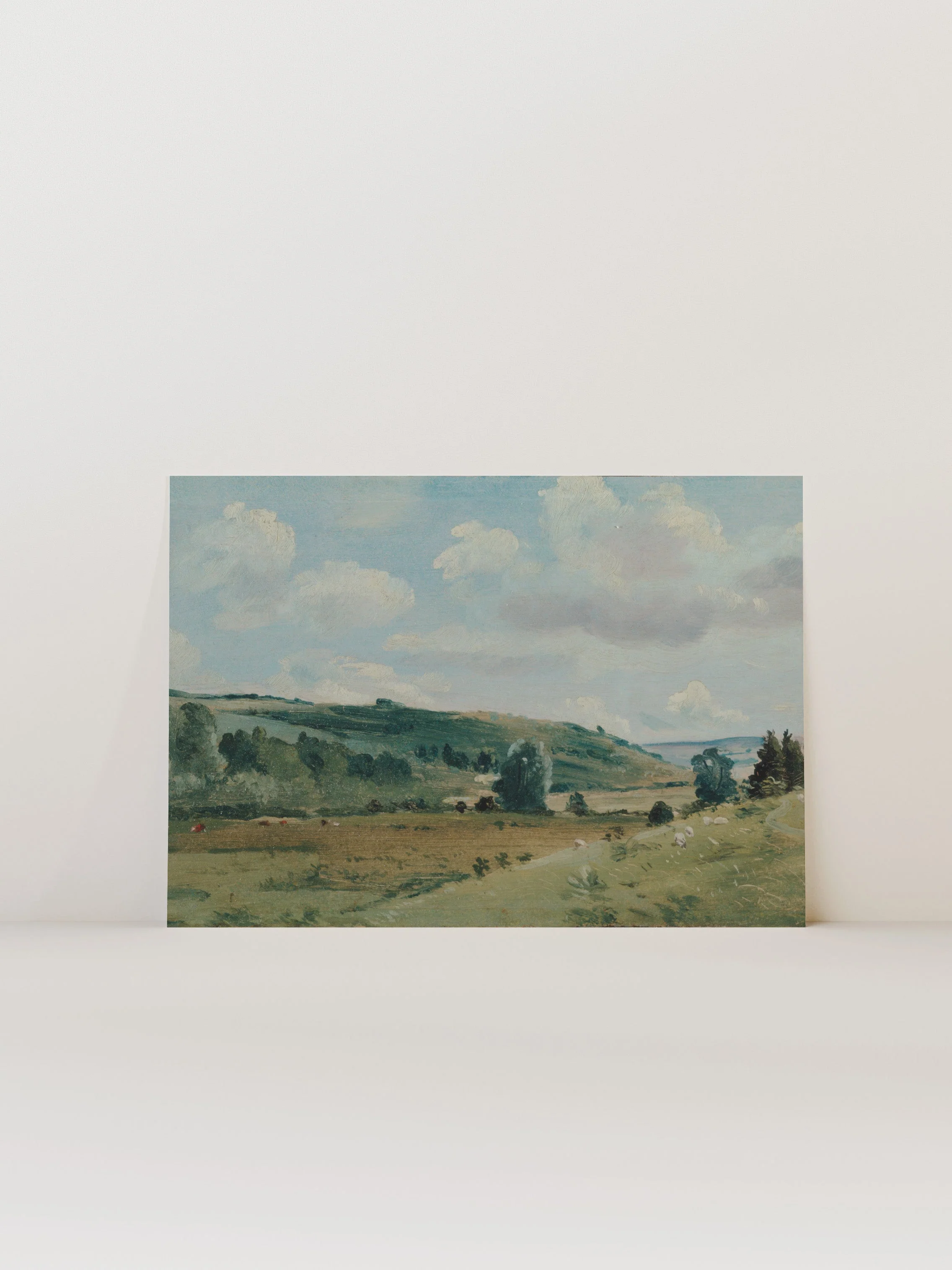 Pastures - Image 8