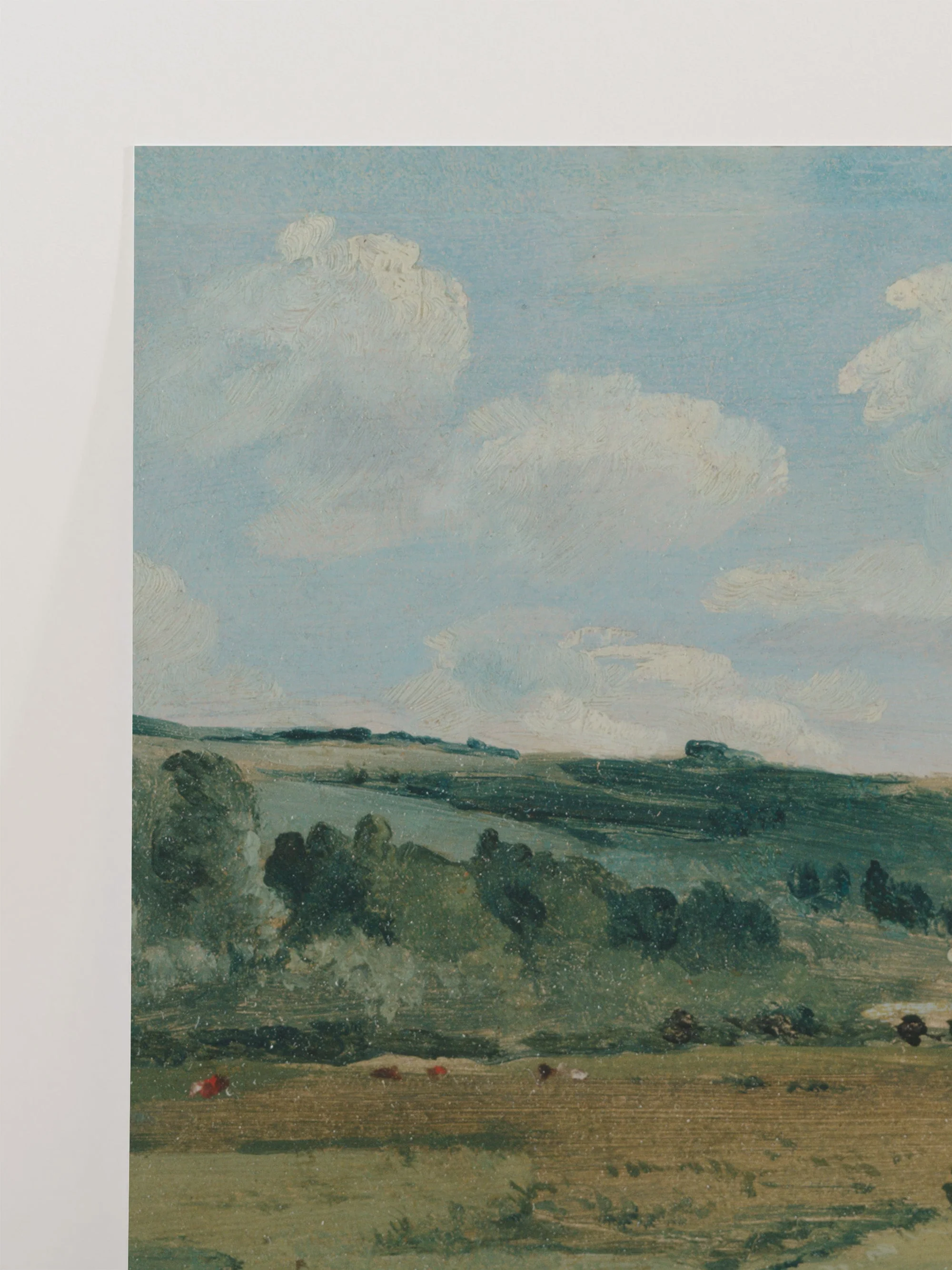 Pastures - Image 9