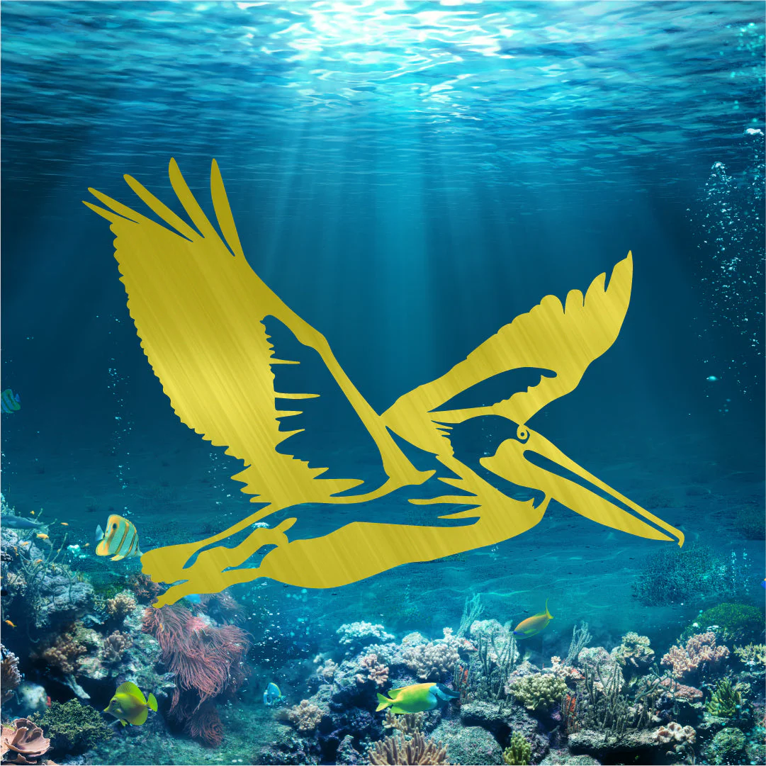 Pelican Flying - Image 2