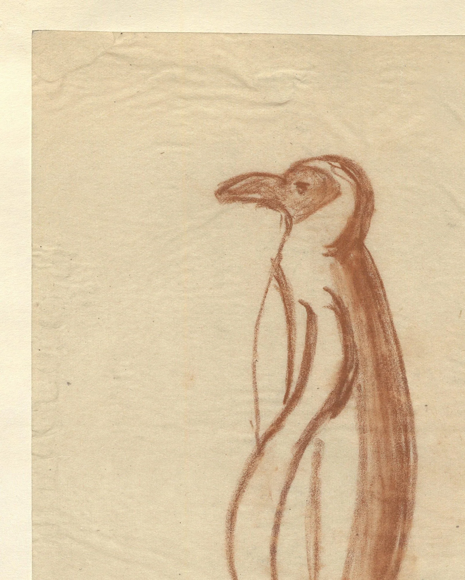 Penguin Sketch - Image 3