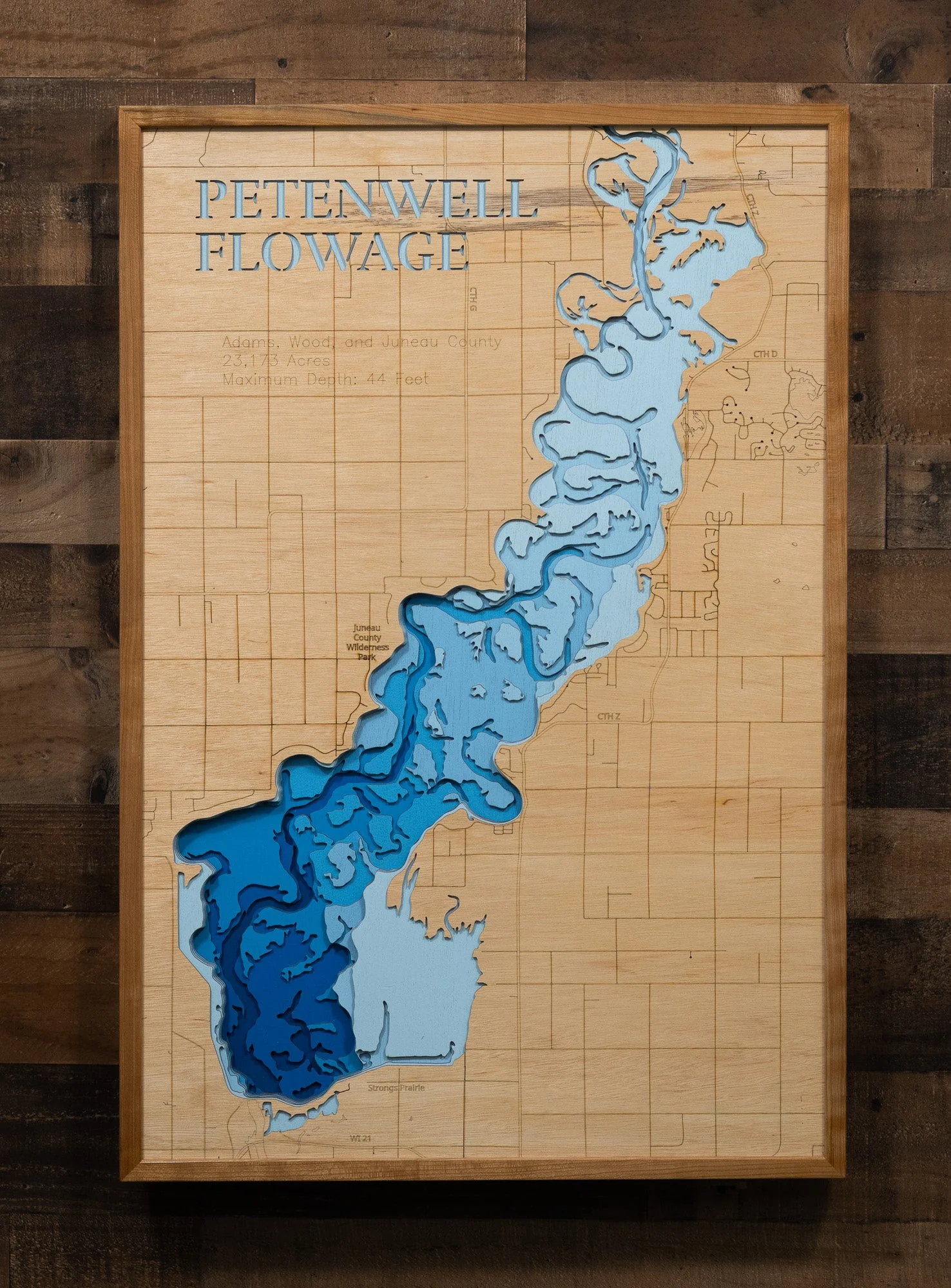 Petenwell Flowage (Adams, Wood, Juneau) - Image 2