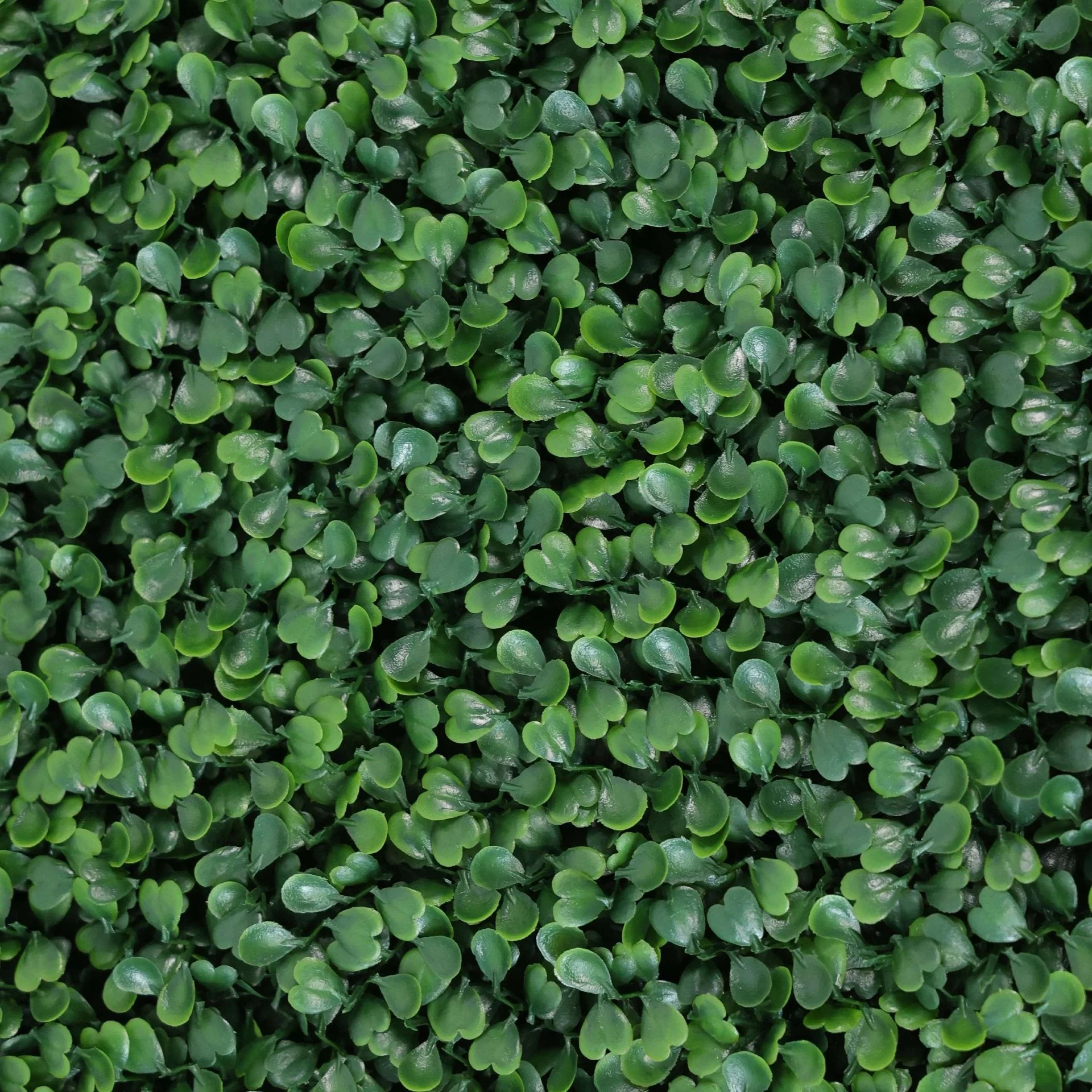 Premium Artificial Boxwood Hedge 6FT | UV Resistant & Easy Assembly - Image 8