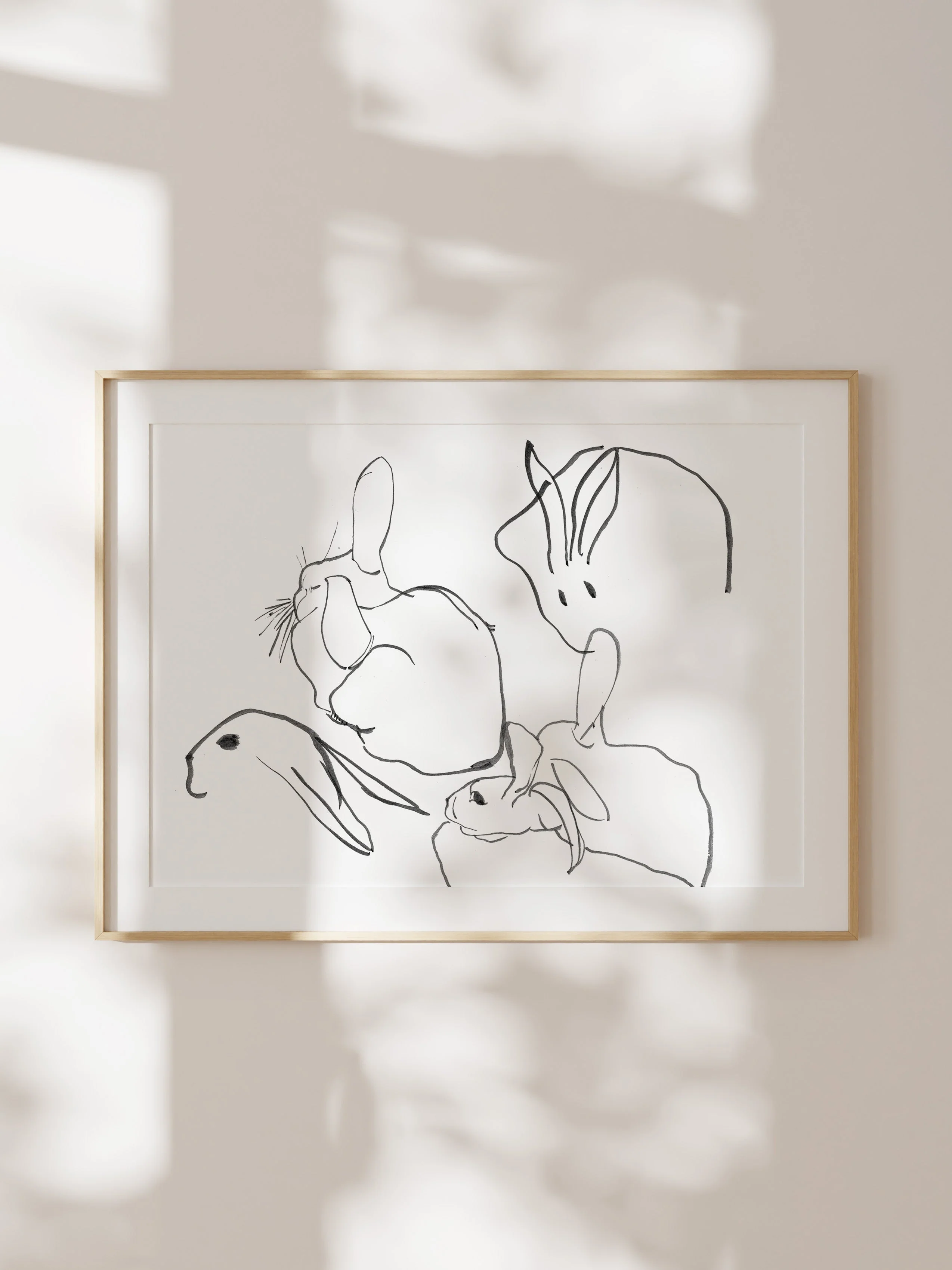Rabbits - Image 5
