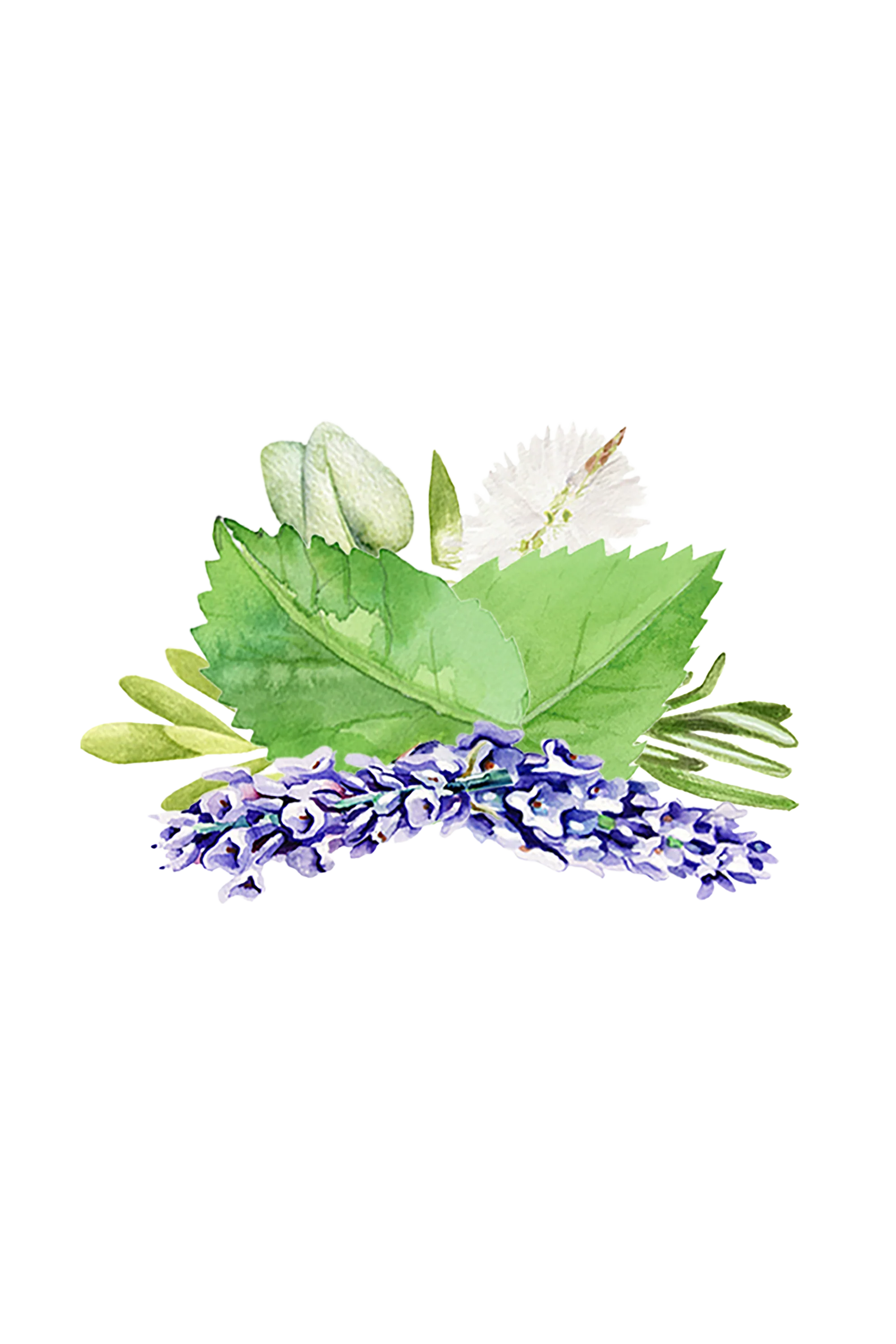 Room Spray | Aromatherapy Blend - Image 2