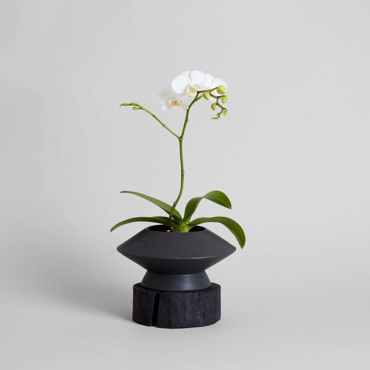 Round Pedestal Wood Base - Image 2