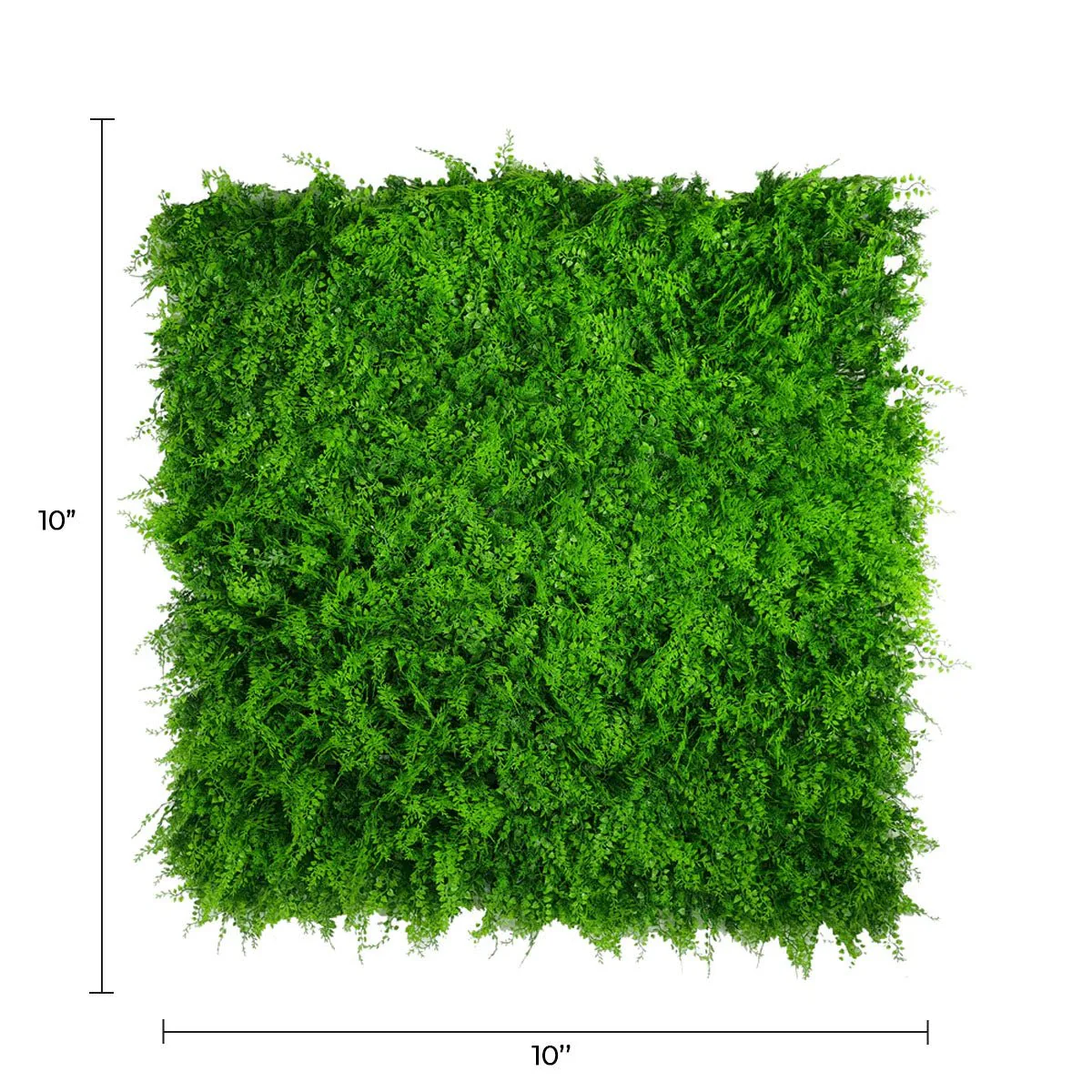 Sample Panel of Lush Fern Artificial Green Wall (Small Sample) Commercial Grade UV Resistant - Image 3