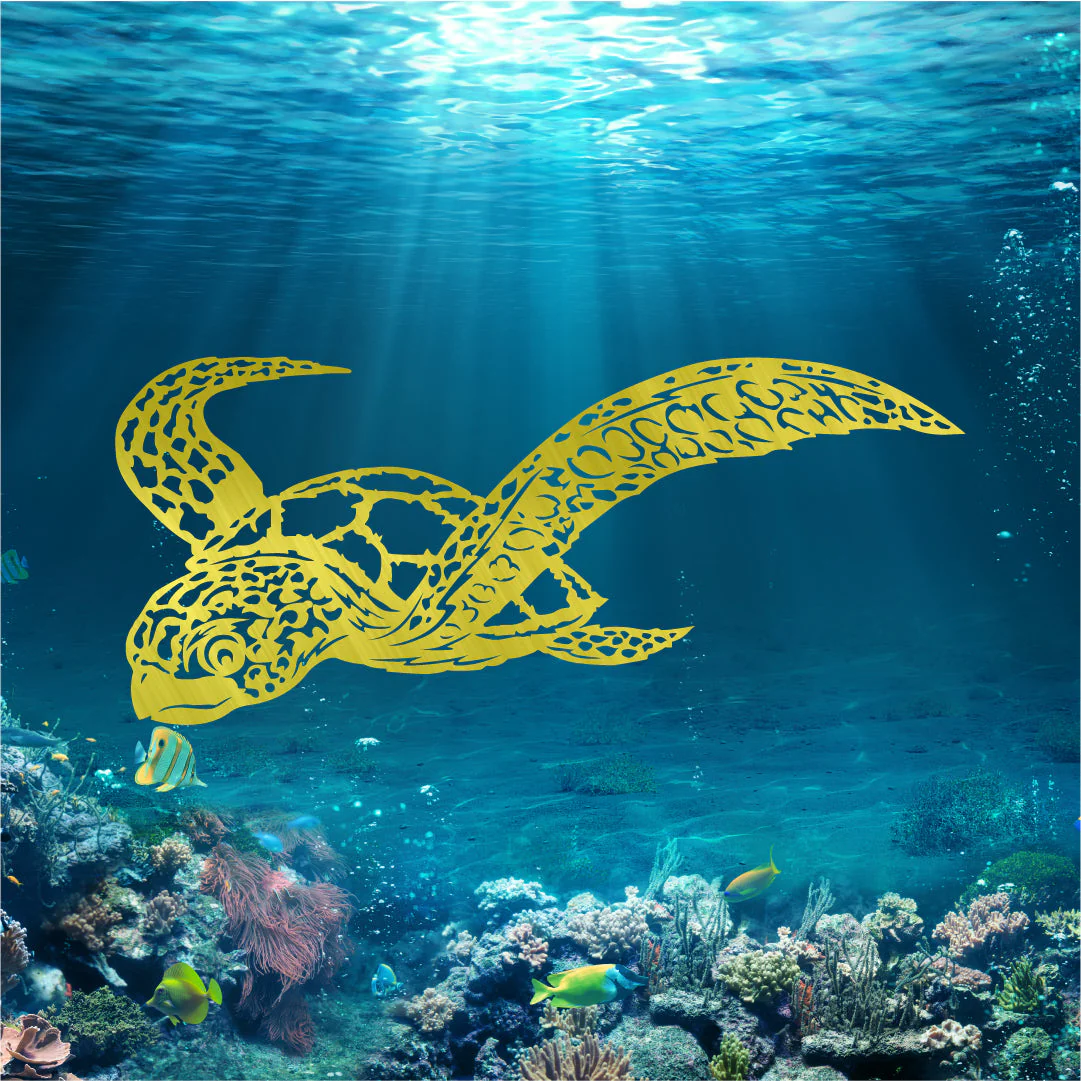 Sea Turtle - Image 2