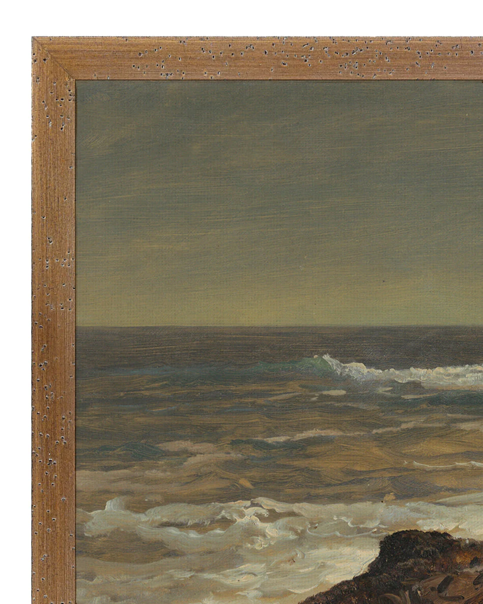 Seashore - Image 3
