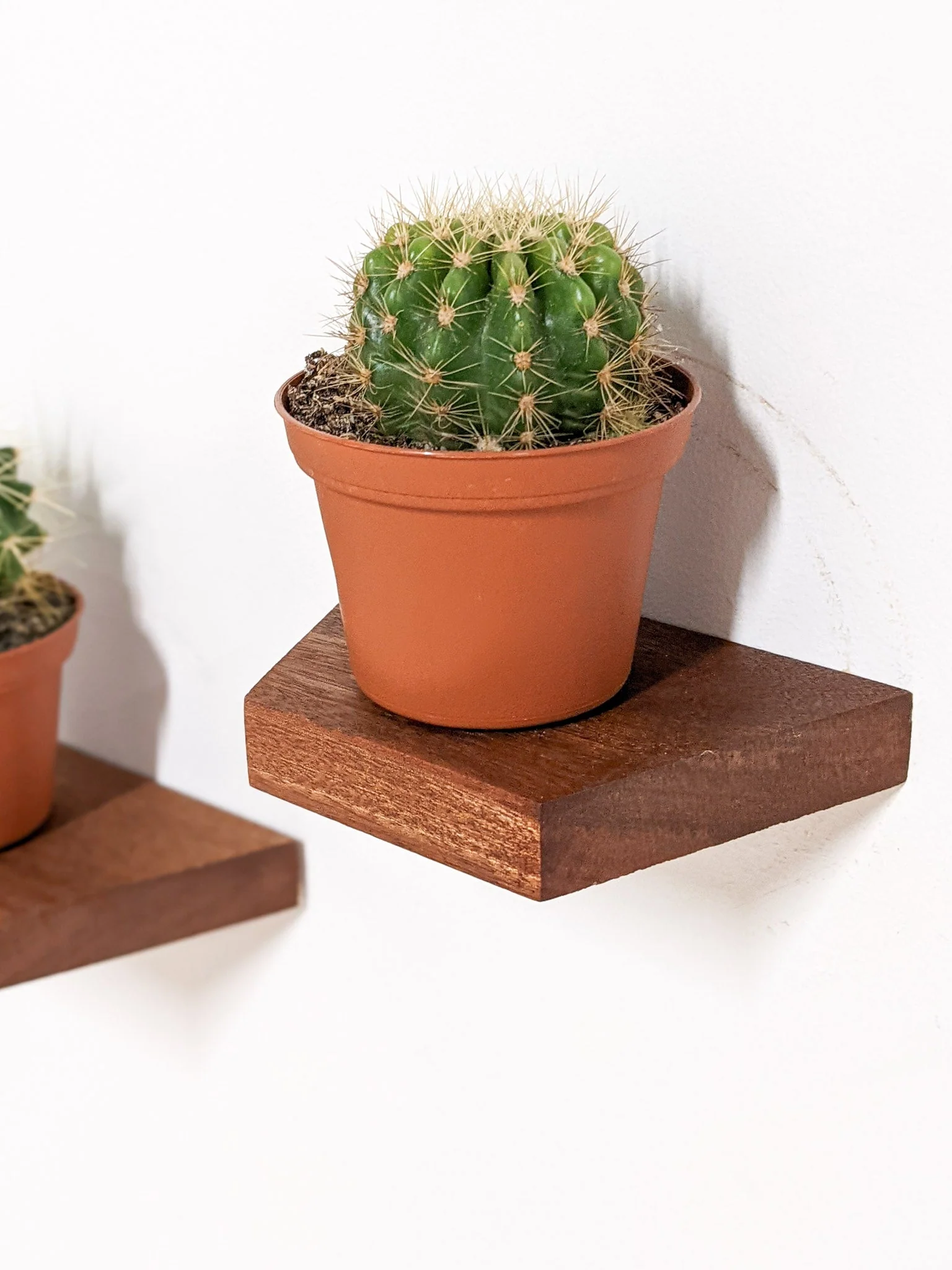 Small Floating Shelf Set - Image 5
