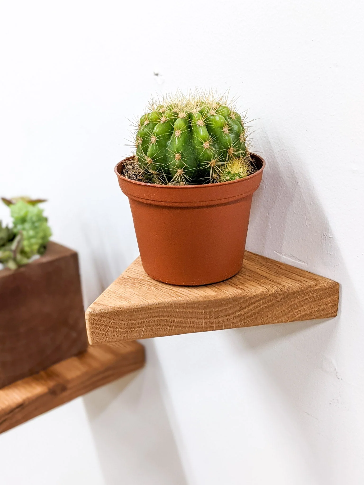 Small Floating Shelf Set - Image 6