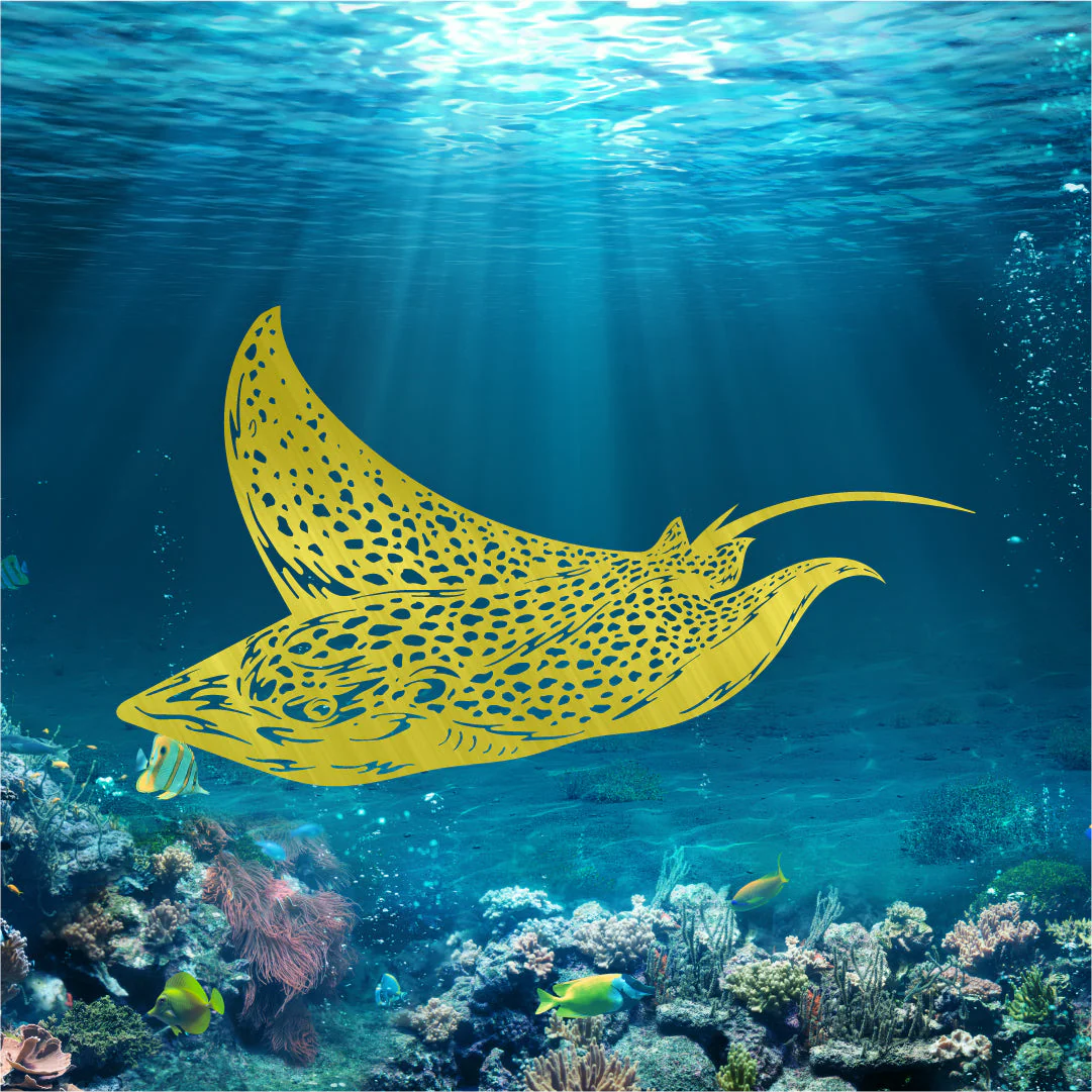 Spotted Eagle Ray - Image 2