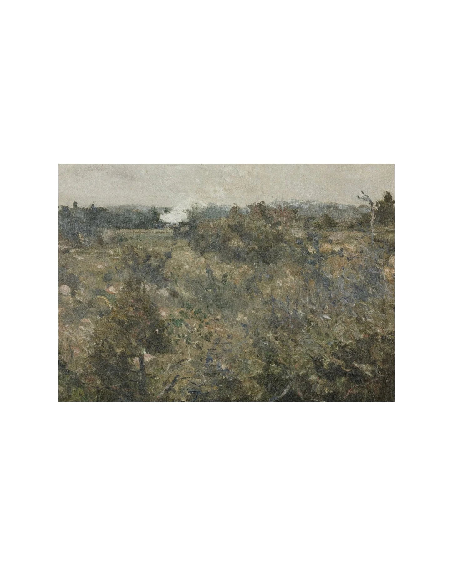 Spring Air - Image 2