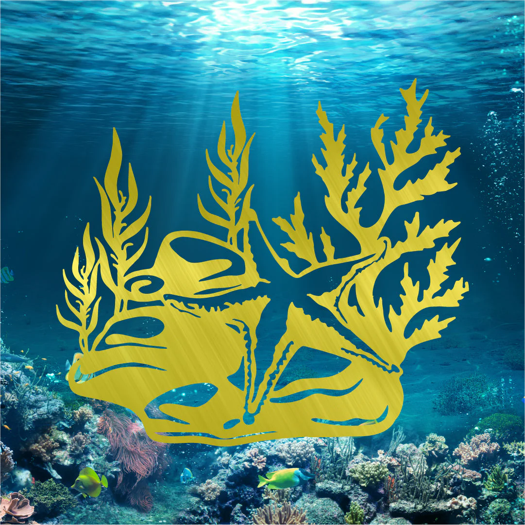 Starfish Seaweed - Image 2