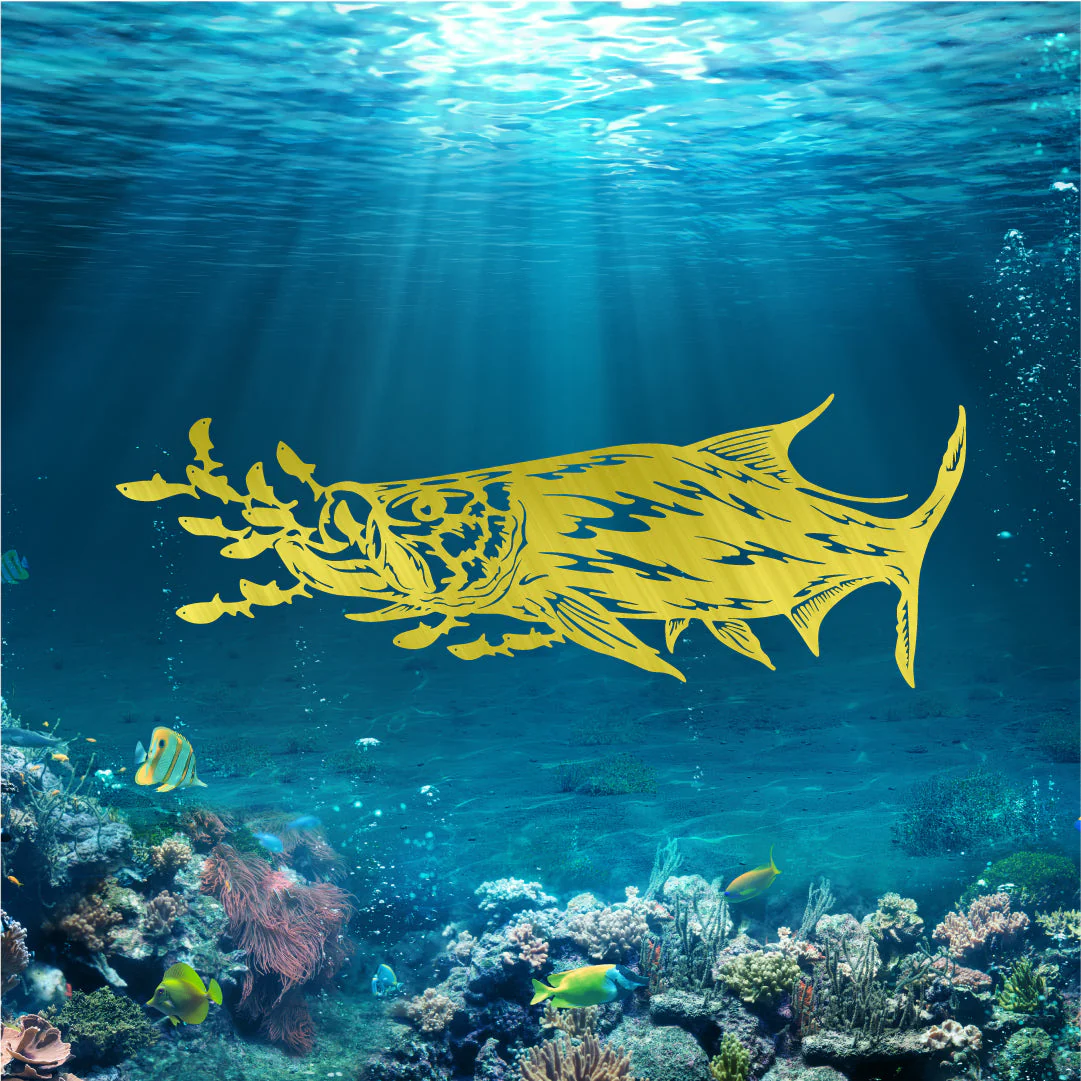 Tarpon Chasing Bait - Image 2